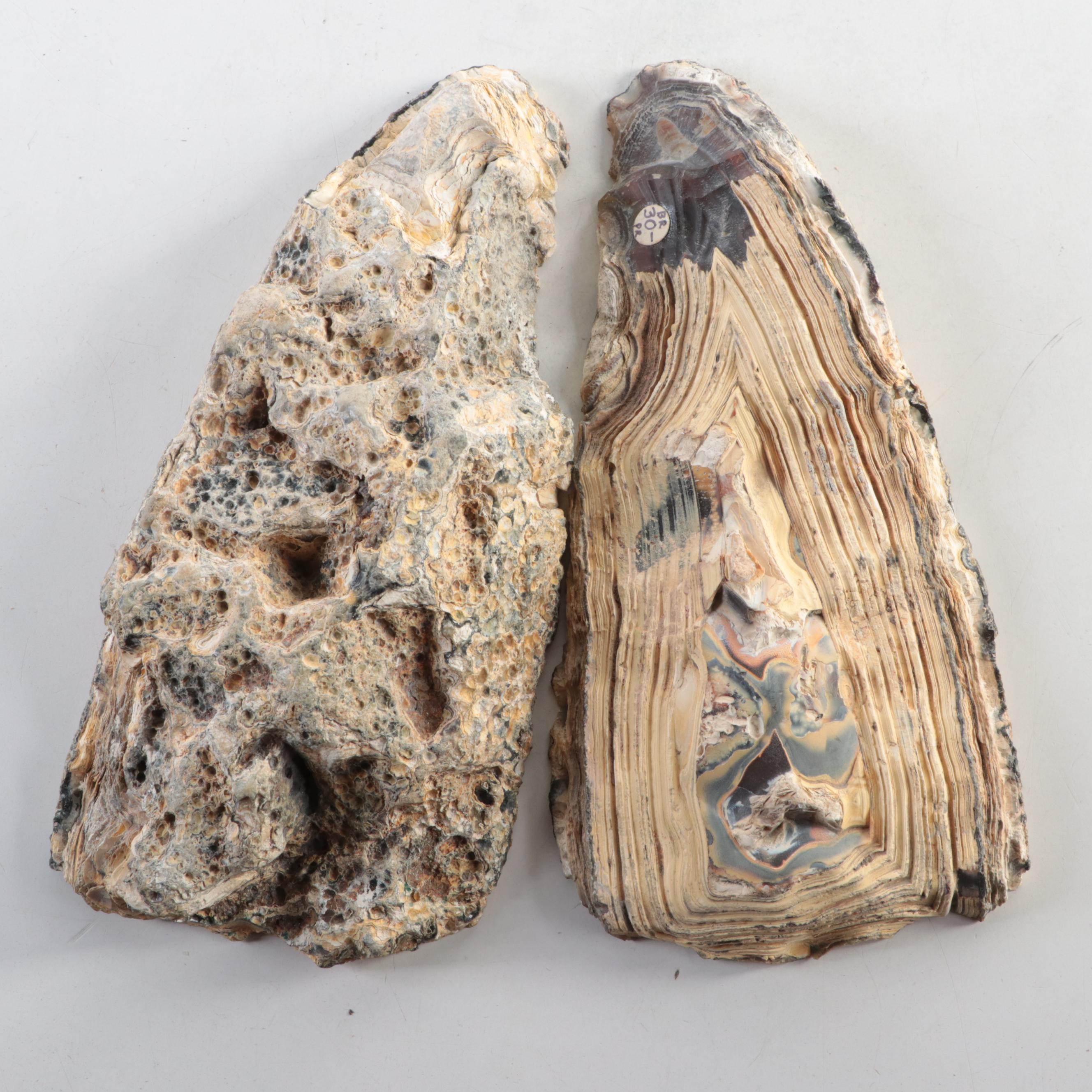 Partially Polished Banded Agate Specimens