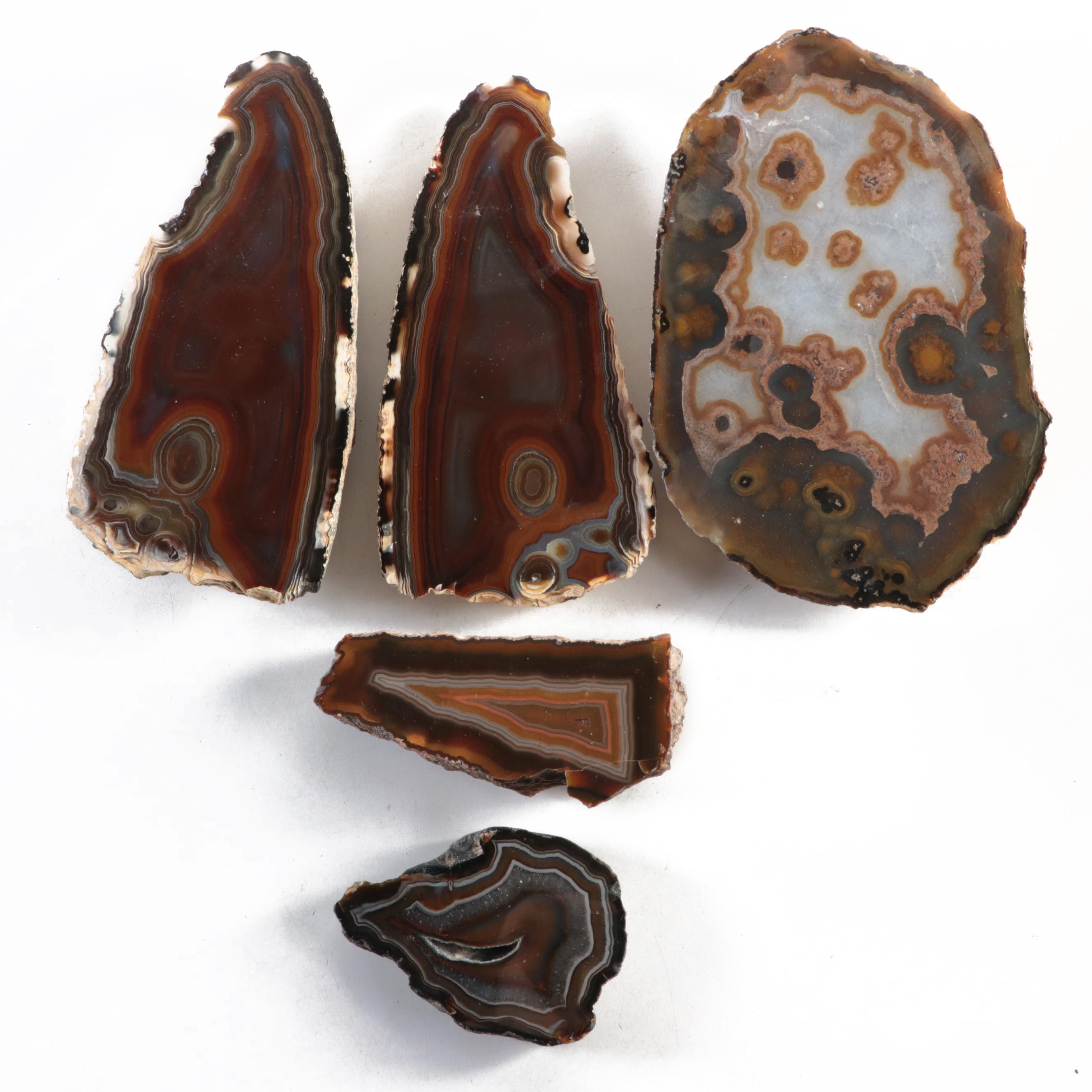 Partially Polished Banded Agate Specimens