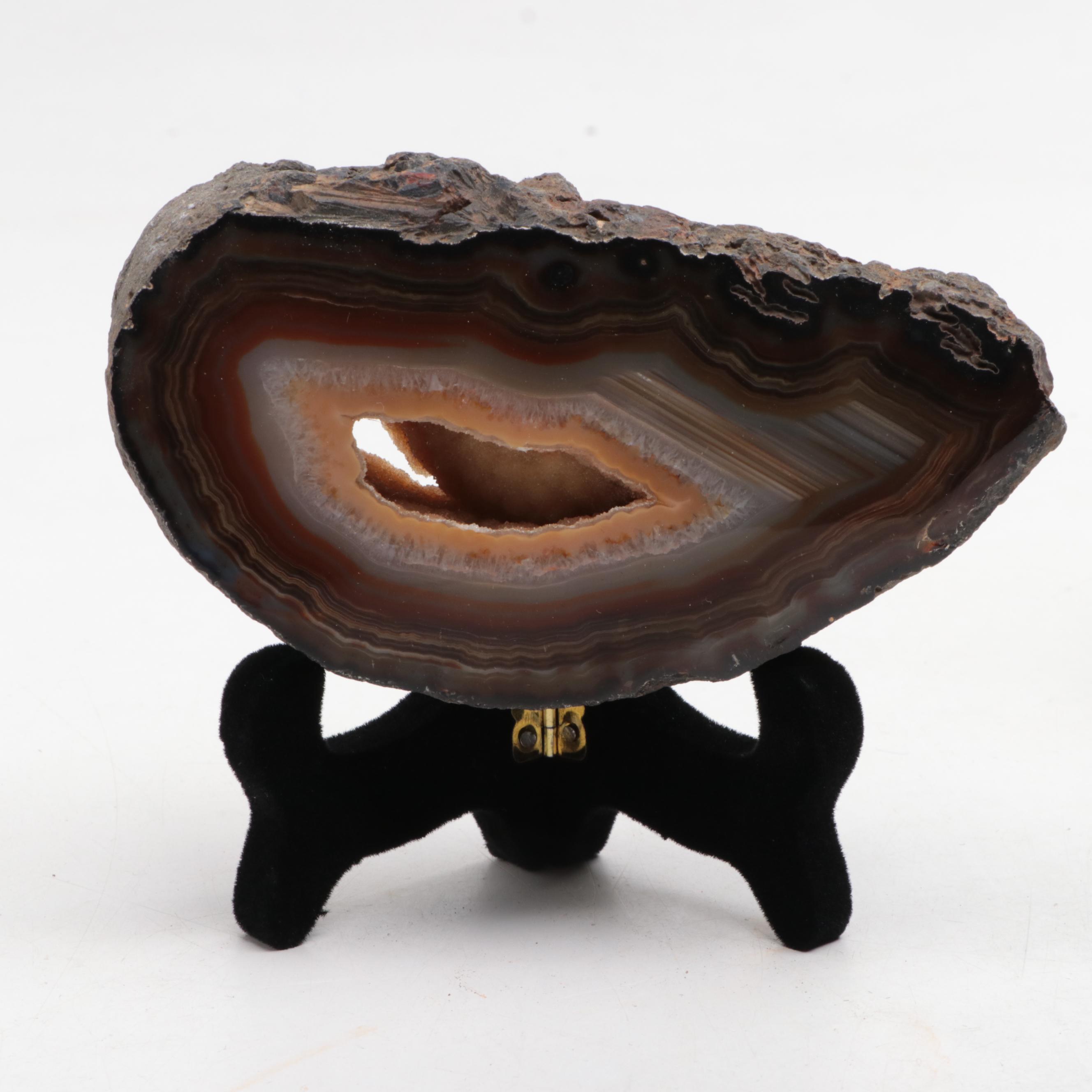 Brazilian and Other Polished Banded Agate Geode Specimens