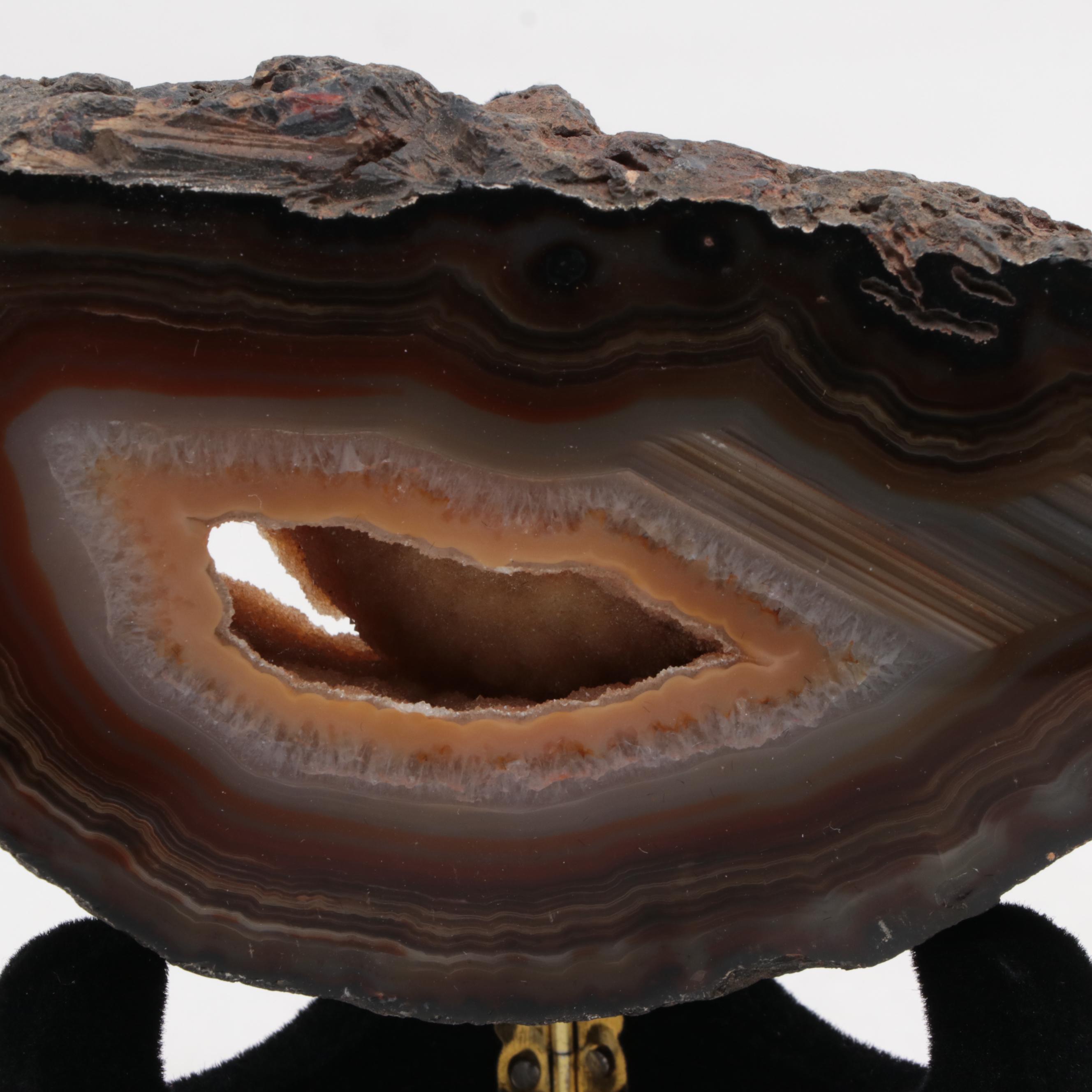 Brazilian and Other Polished Banded Agate Geode Specimens