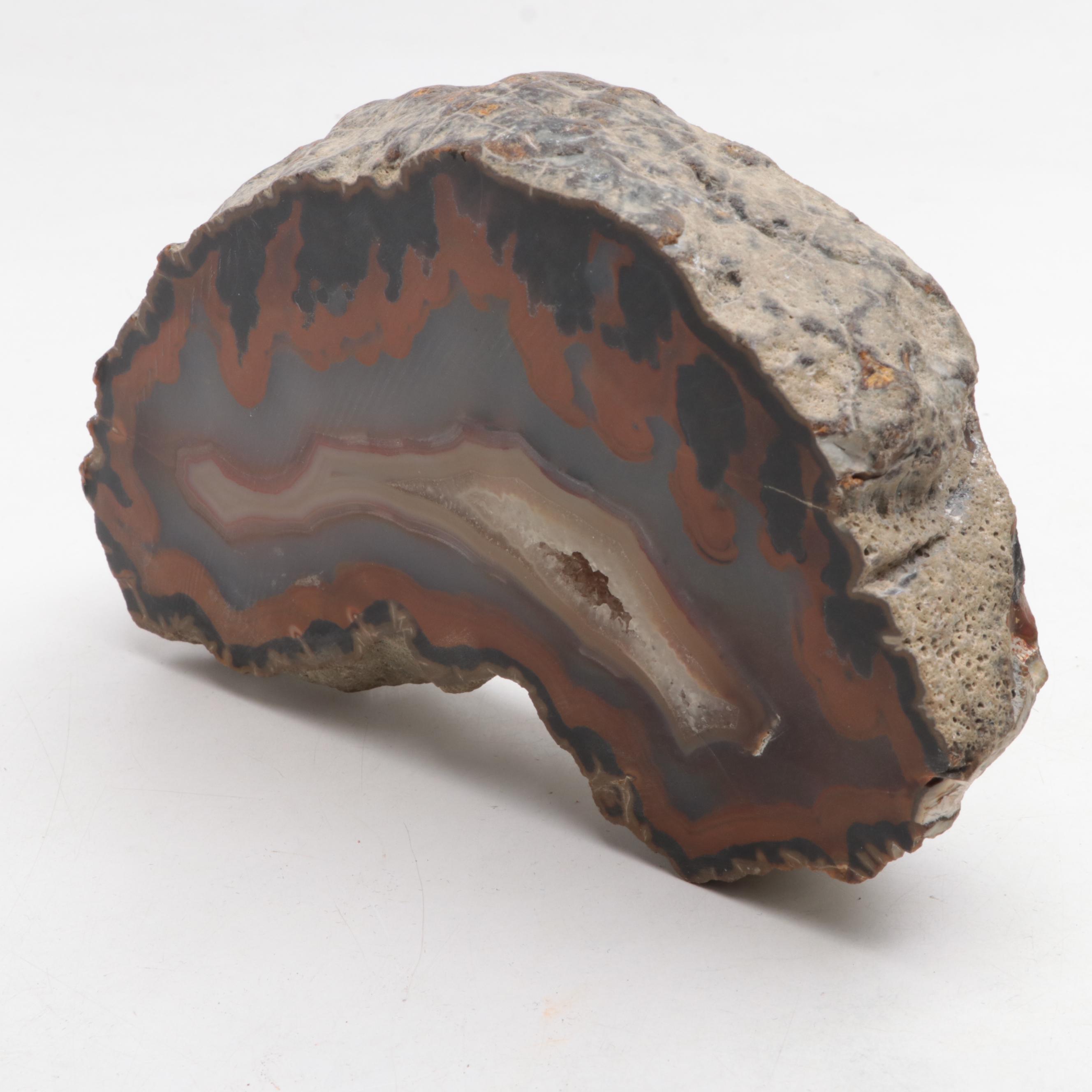 Brazilian and Other Polished Banded Agate Geode Specimens