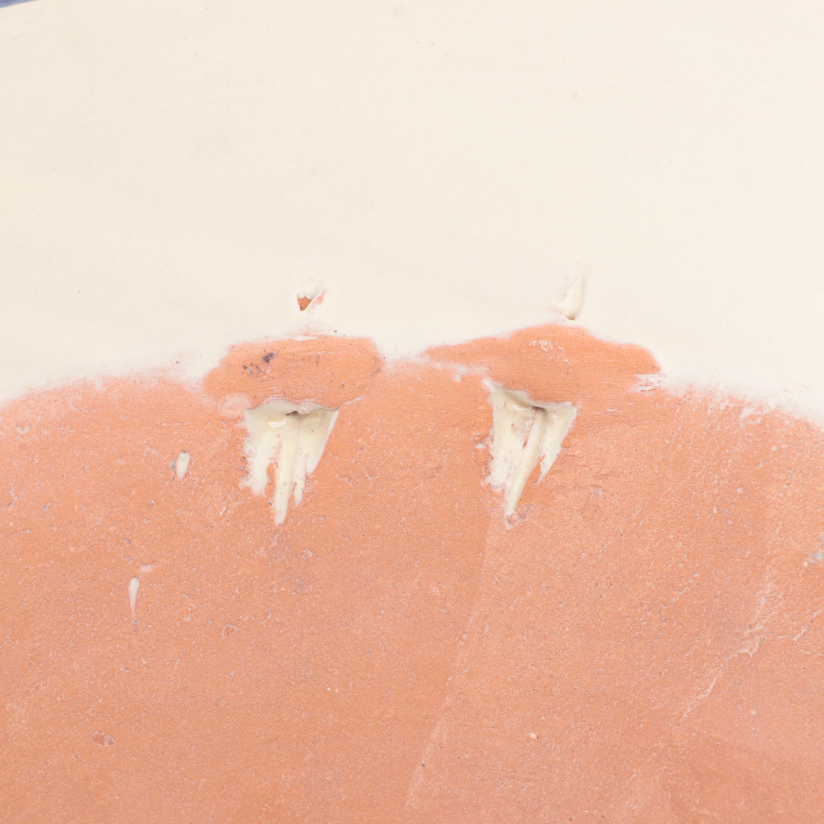 AIBA Mexican Talavera Hand-Painted Large Dish