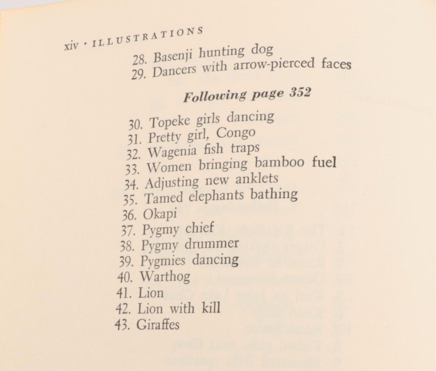 Arabic Language "The Biggest Bear" by Lynd Ward and More Books