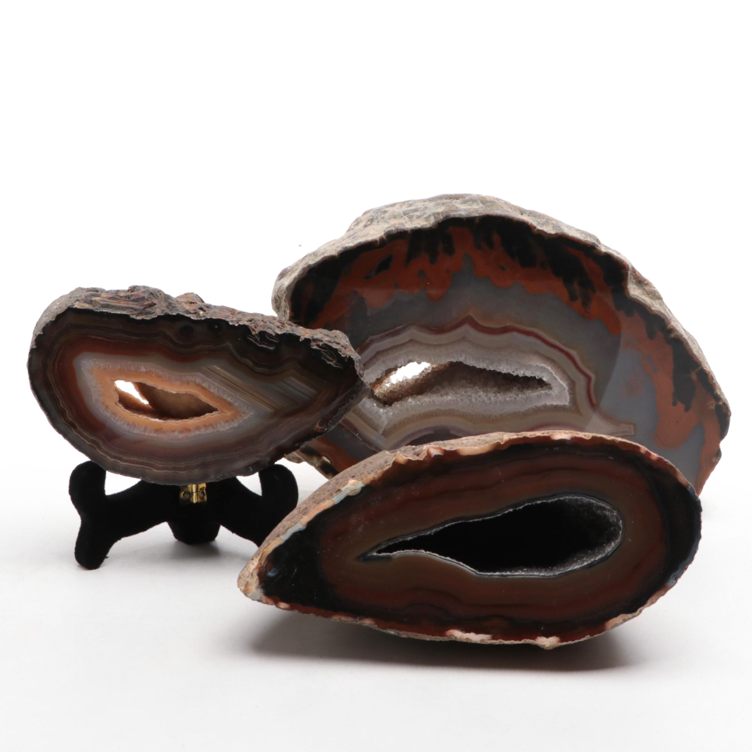 Brazilian and Other Polished Banded Agate Geode Specimens