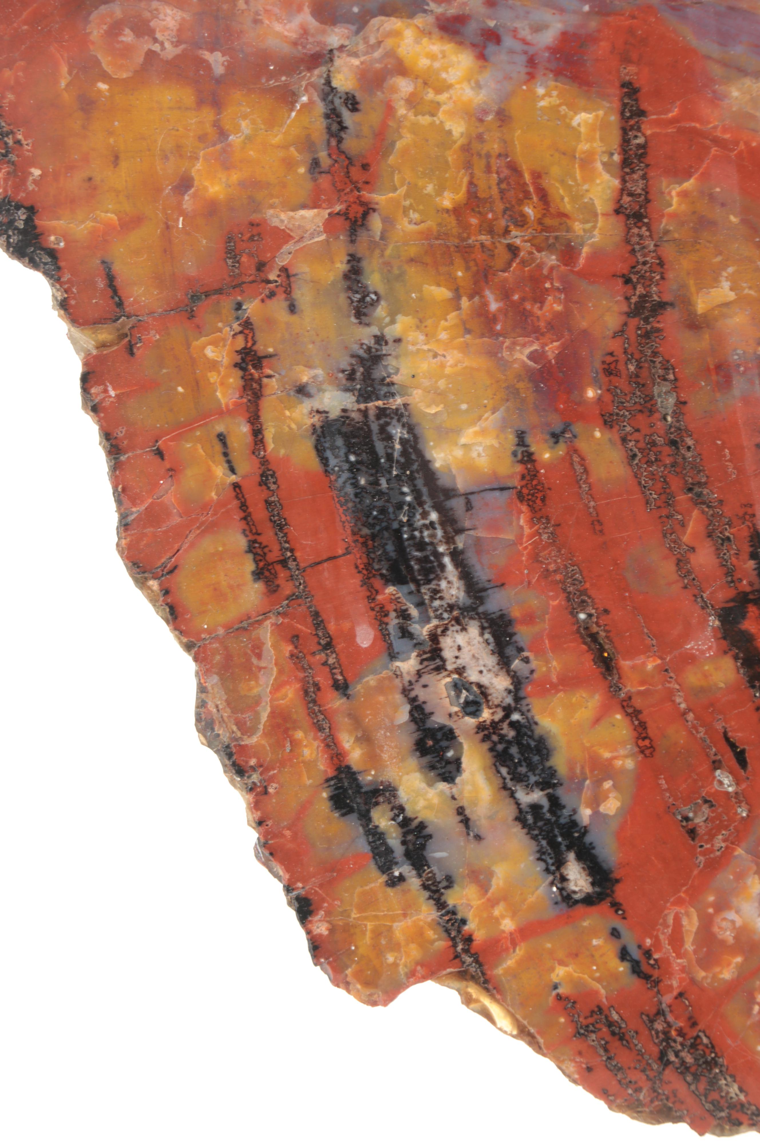 Polished Rainbow Agatized Petrified Wood Slab