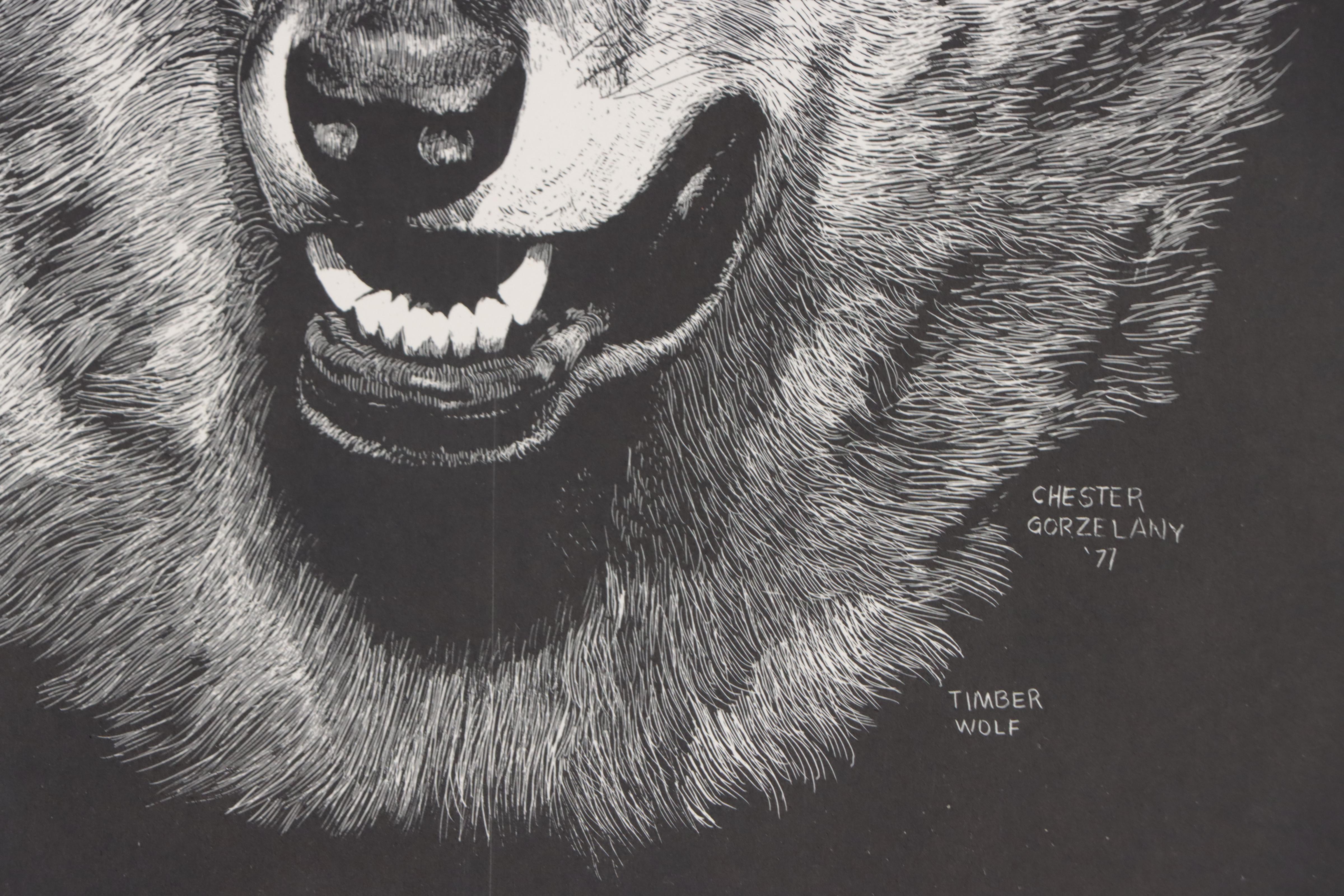 Chester Gorzelany Lithographs of Wildlife Portraits, Circa 1980