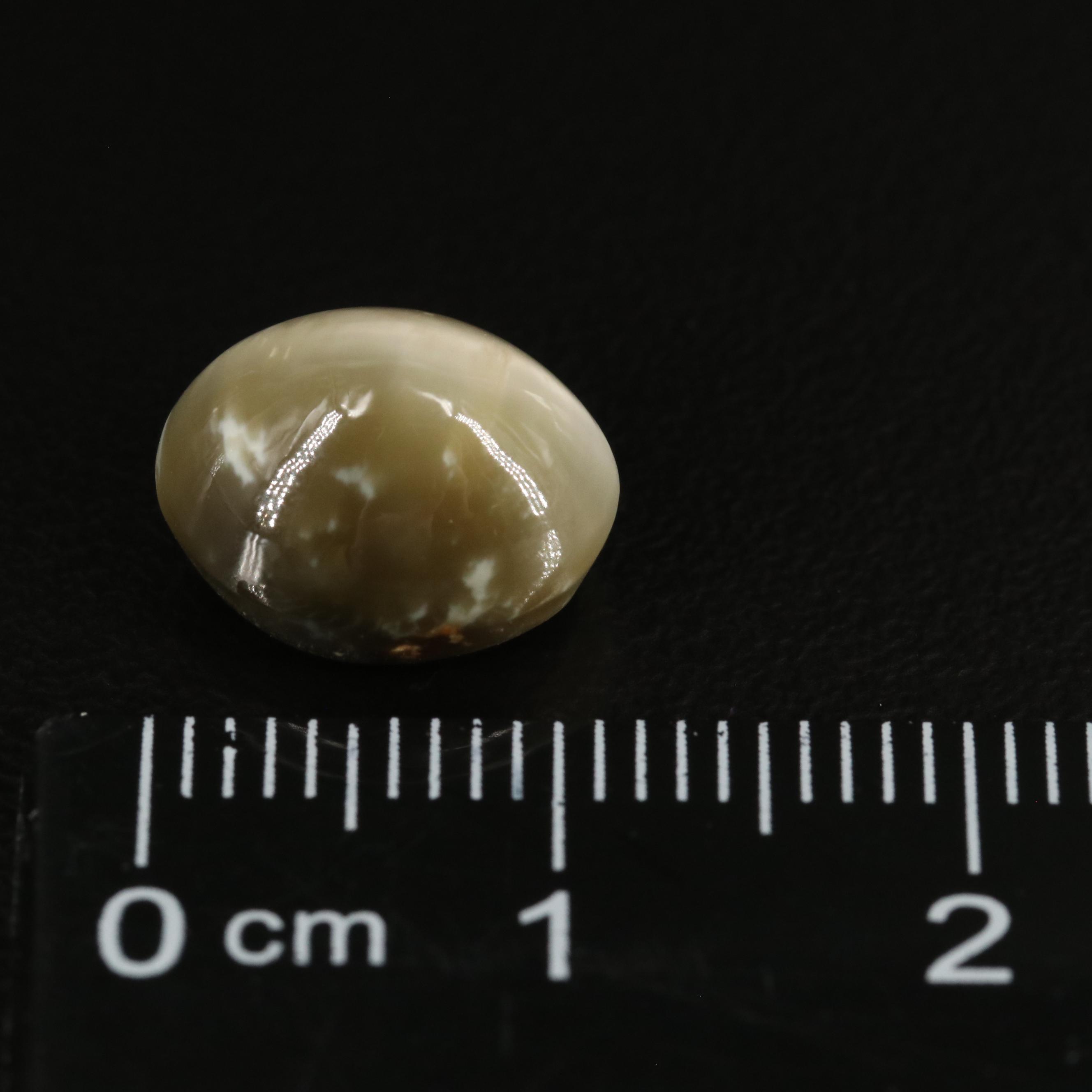 Loose 5.70 CT Cat's Eye Quartz