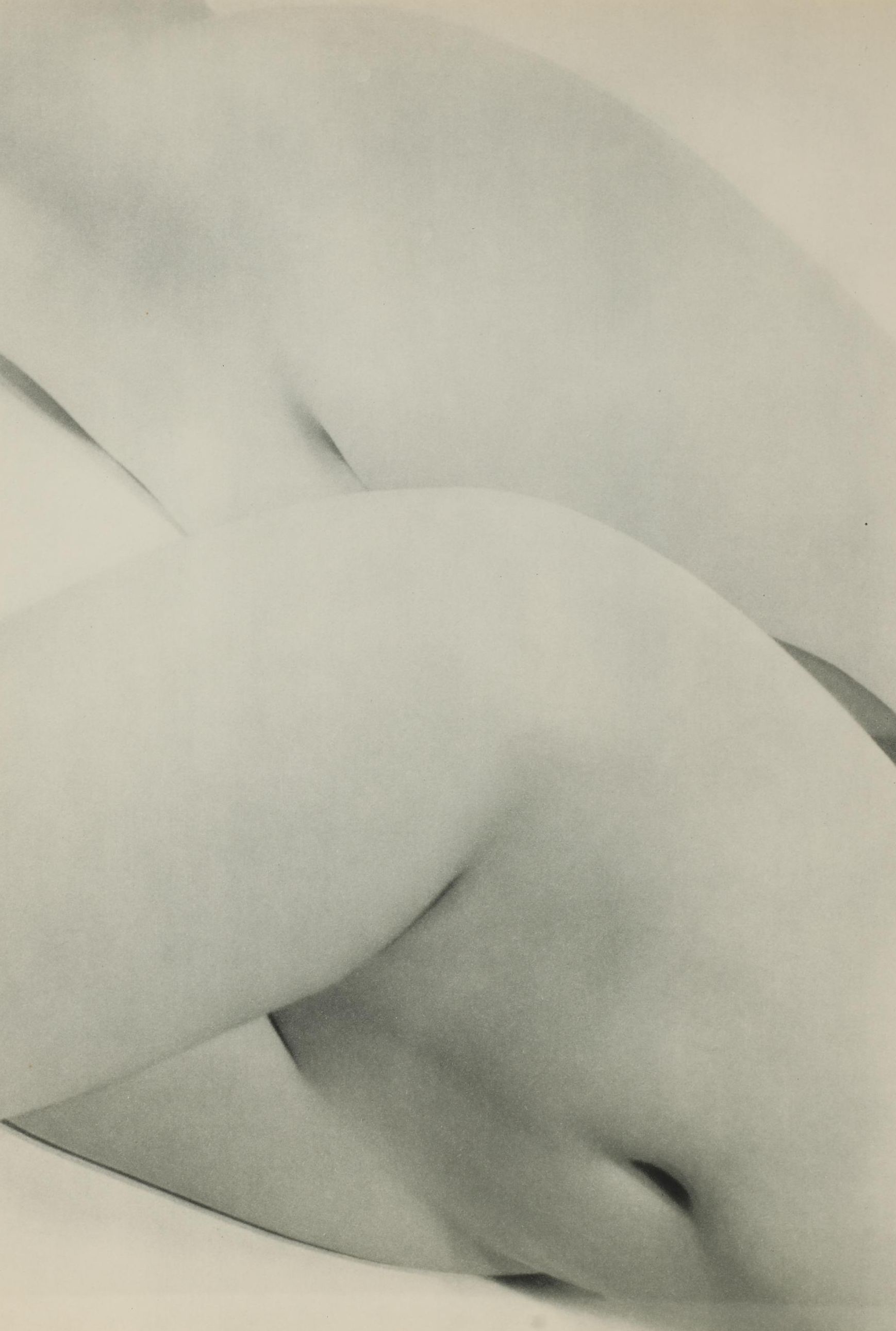 Nude Portrait Rotogravure From "Le Nu International," 1954