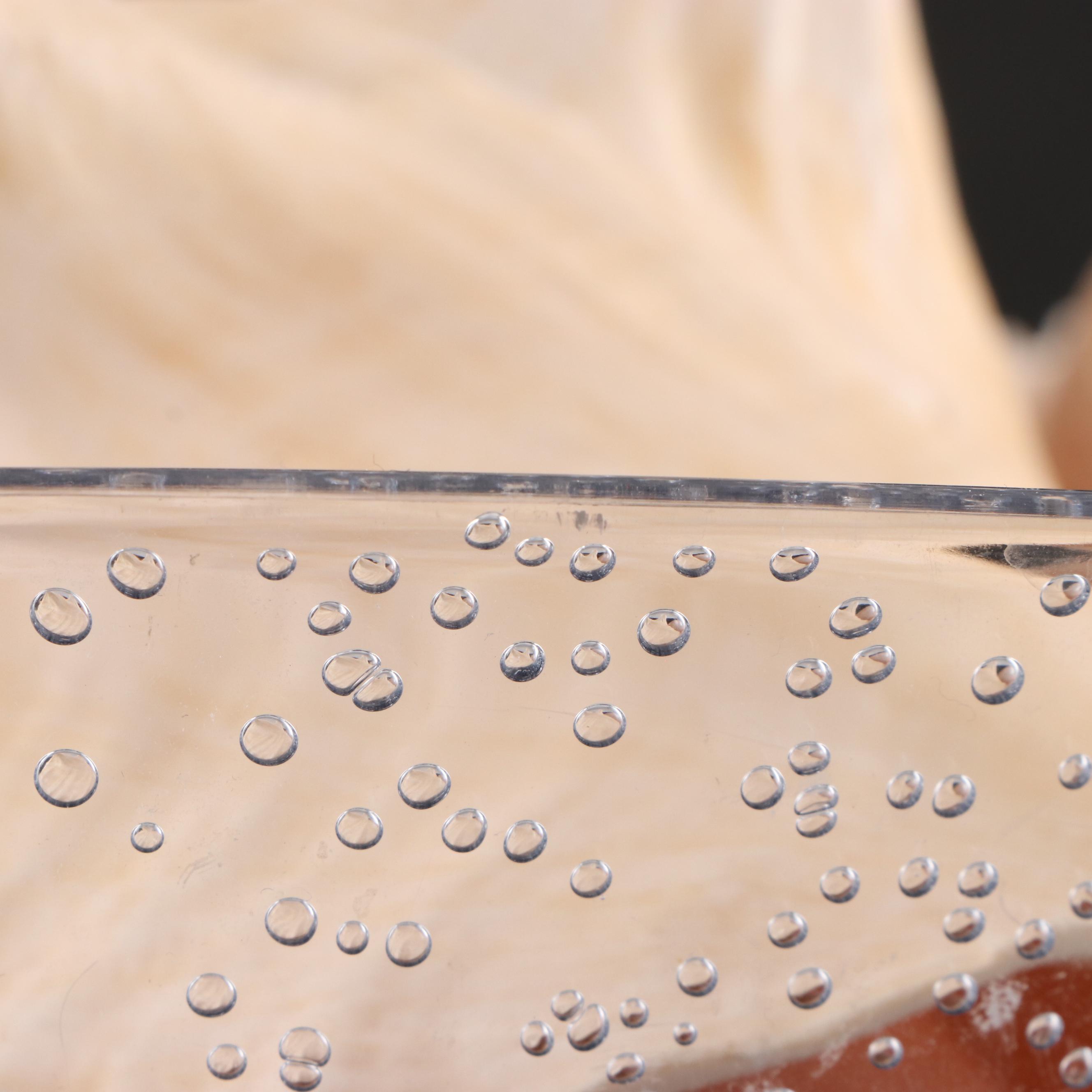 Queen Conch, Lightning Whelk, Clams, Tulip Shell, Cones and More