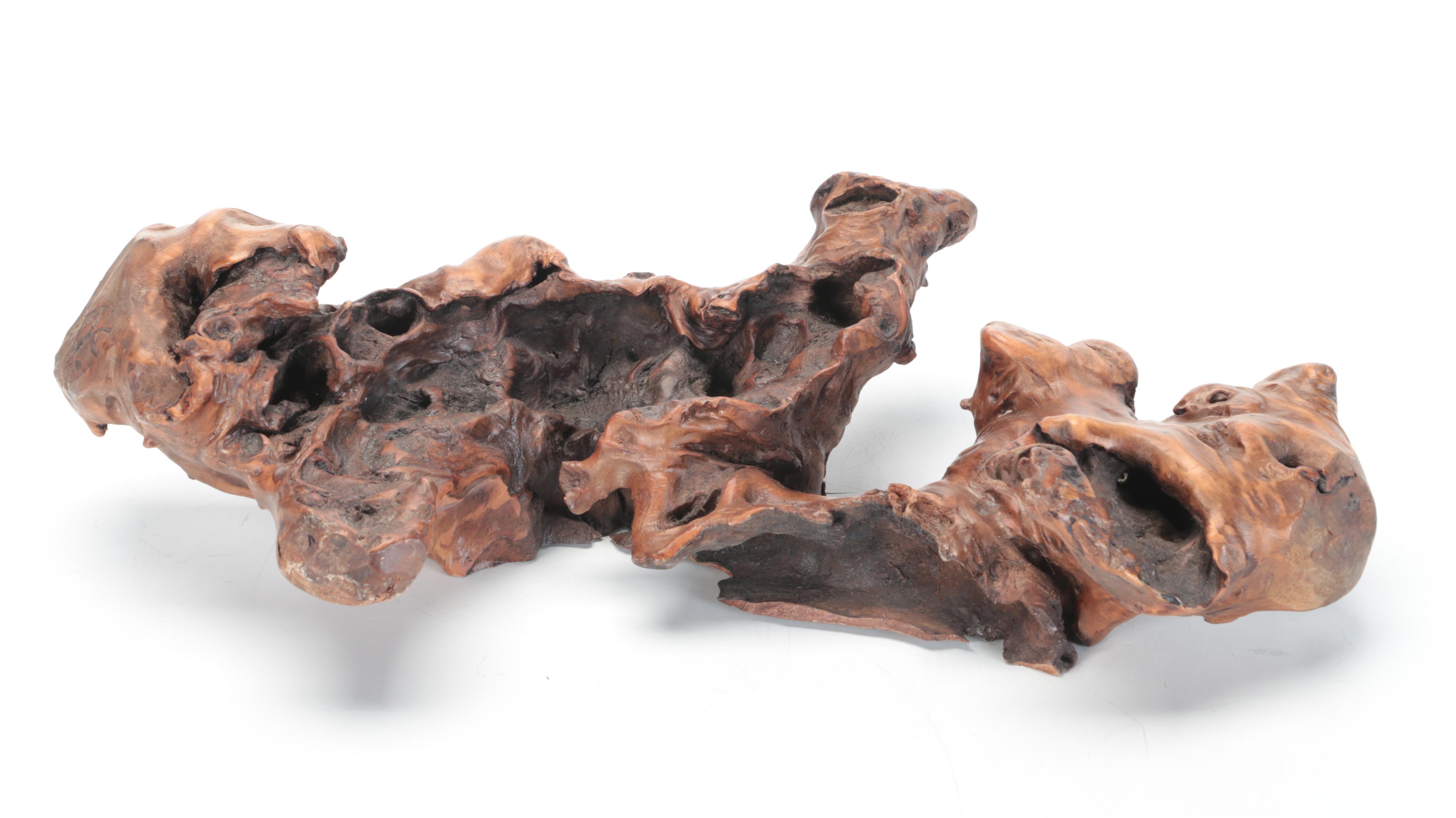 Burl Root Sculpture