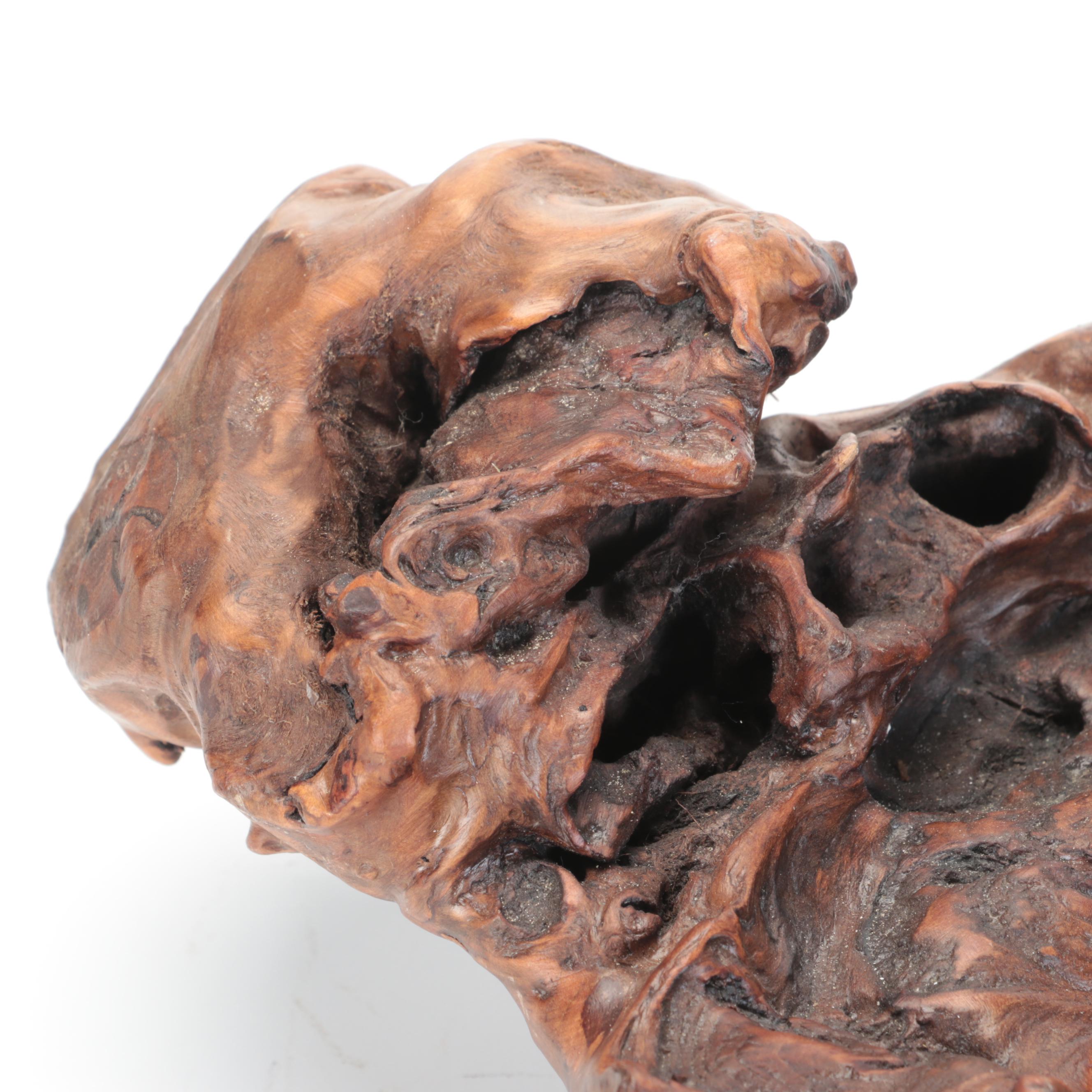 Burl Root Sculpture