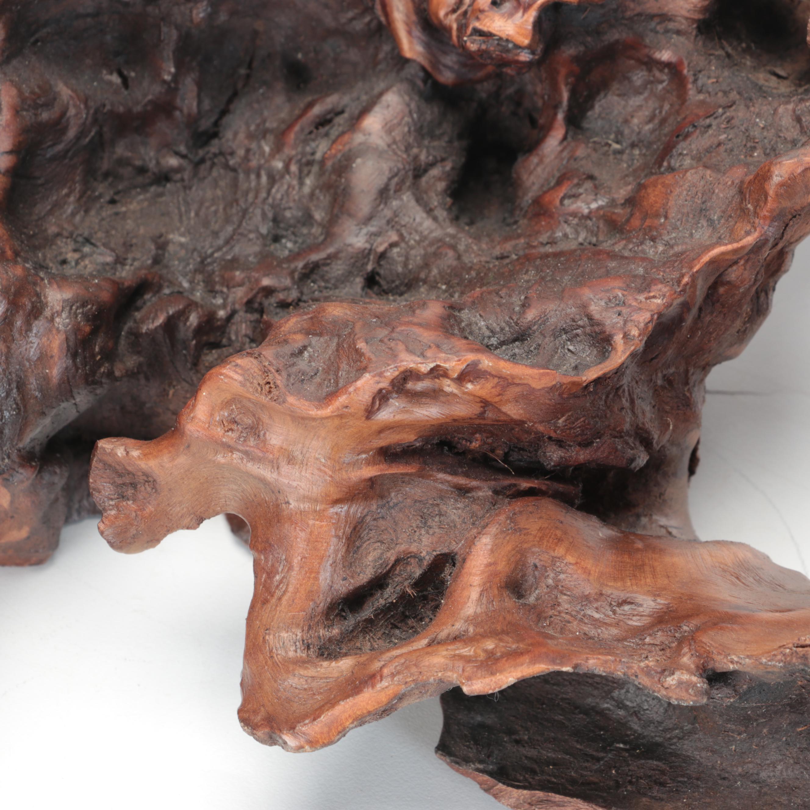 Burl Root Sculpture