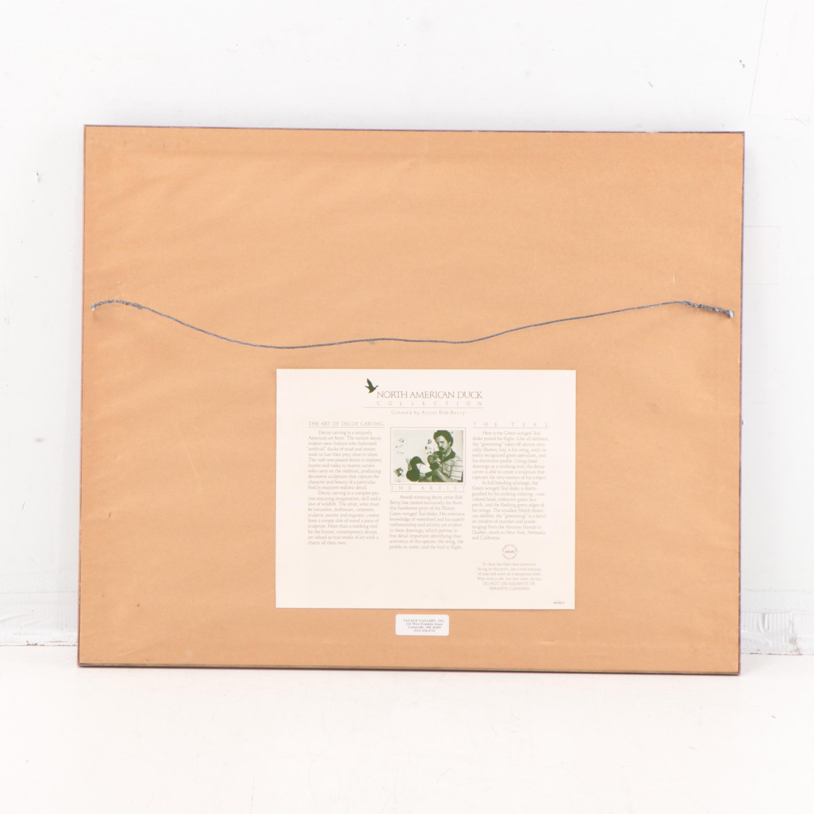 Offset Lithograph After Bob Berry "Illinois Green-Winged Teal"