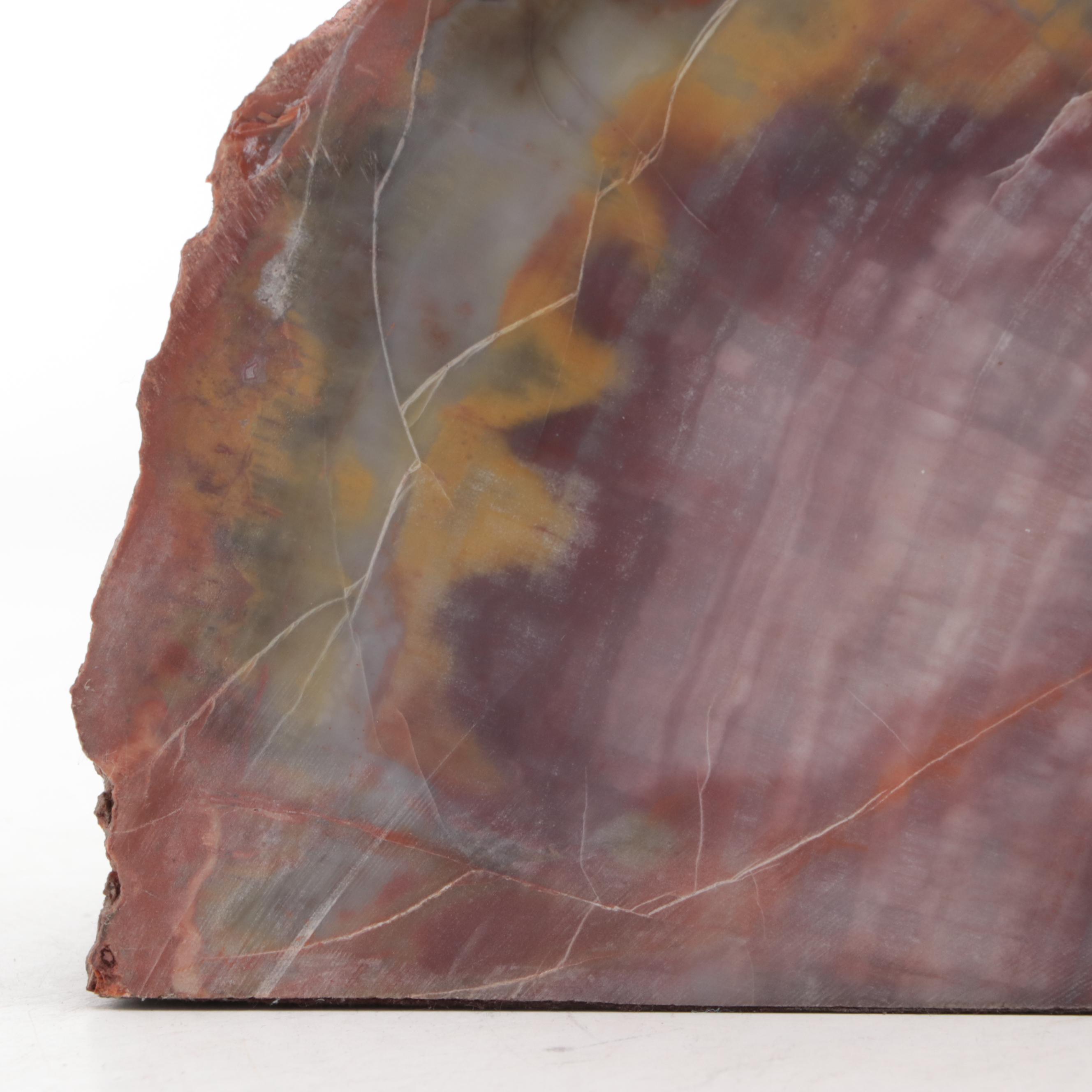 Agatized Petrified Wood Specimen Bookends