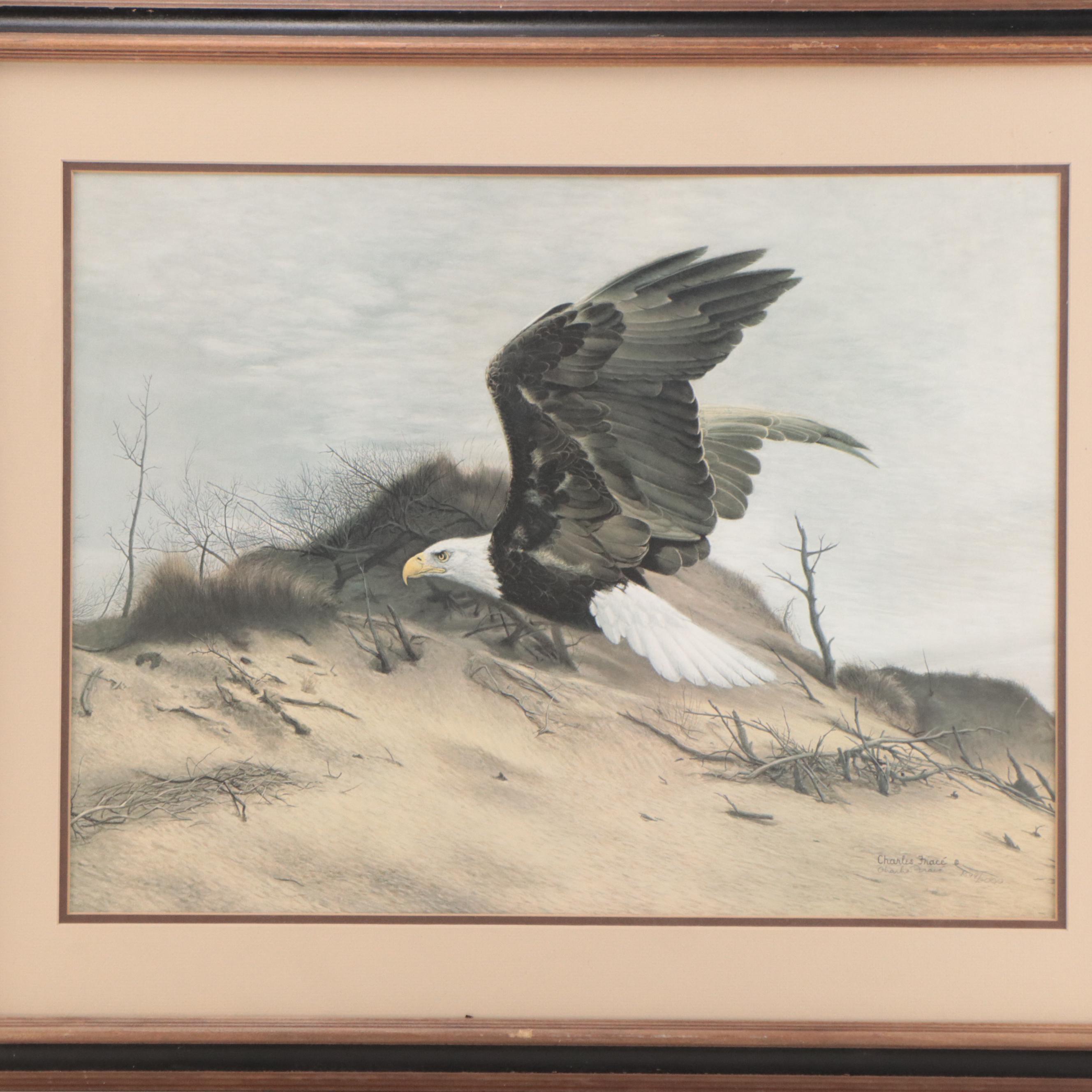 Charles Fracé Offset Lithograph "American Eagle"