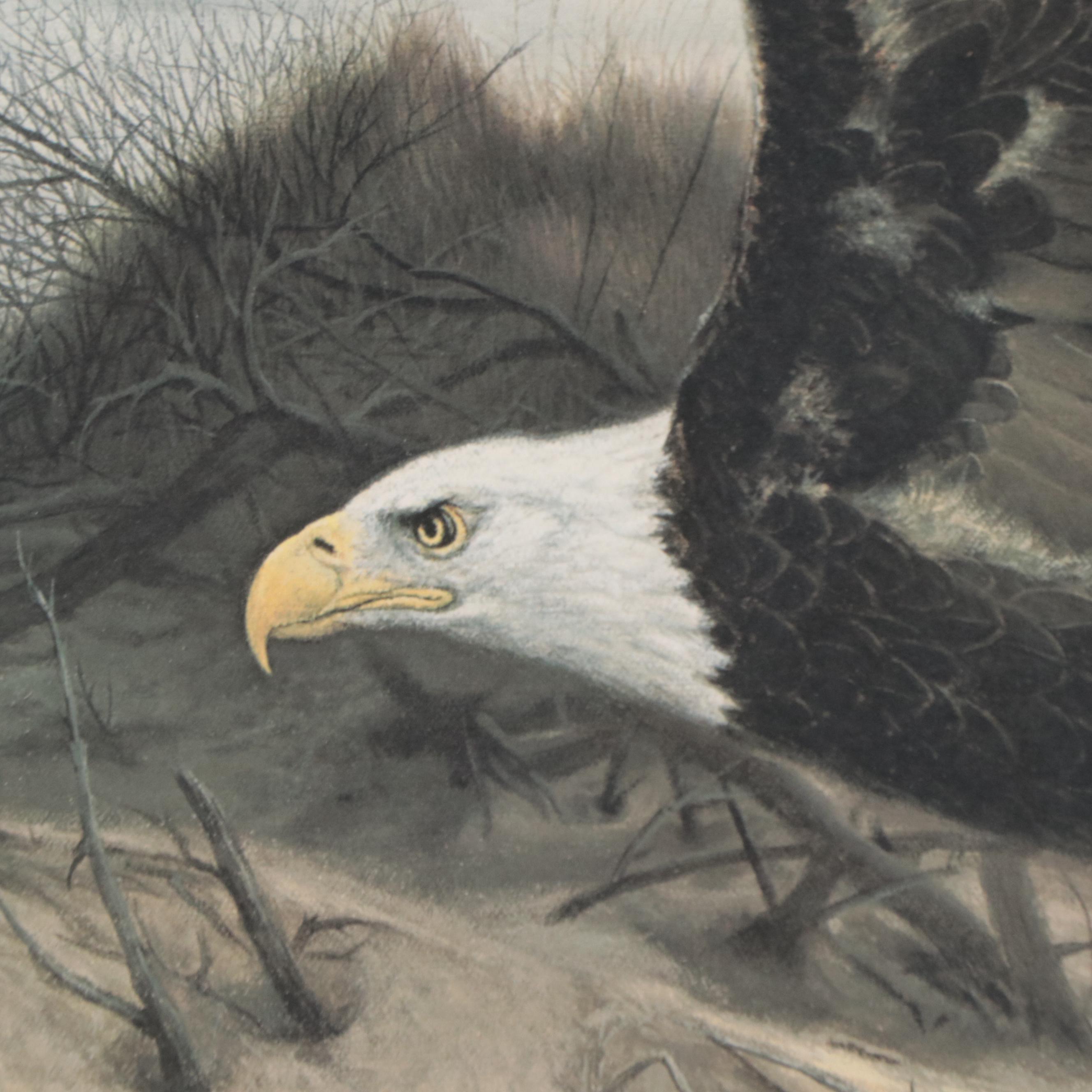 Charles Fracé Offset Lithograph "American Eagle"