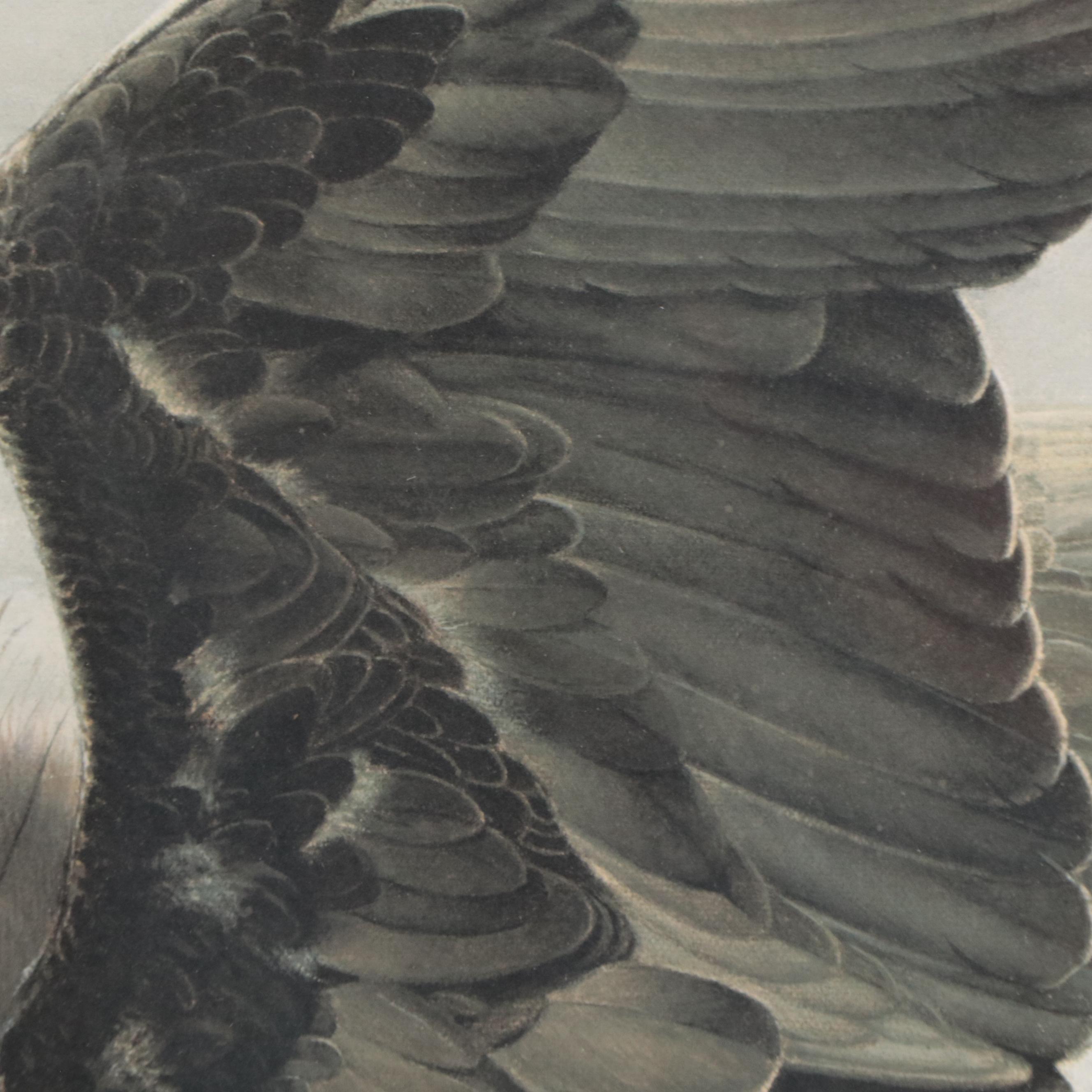 Charles Fracé Offset Lithograph "American Eagle"