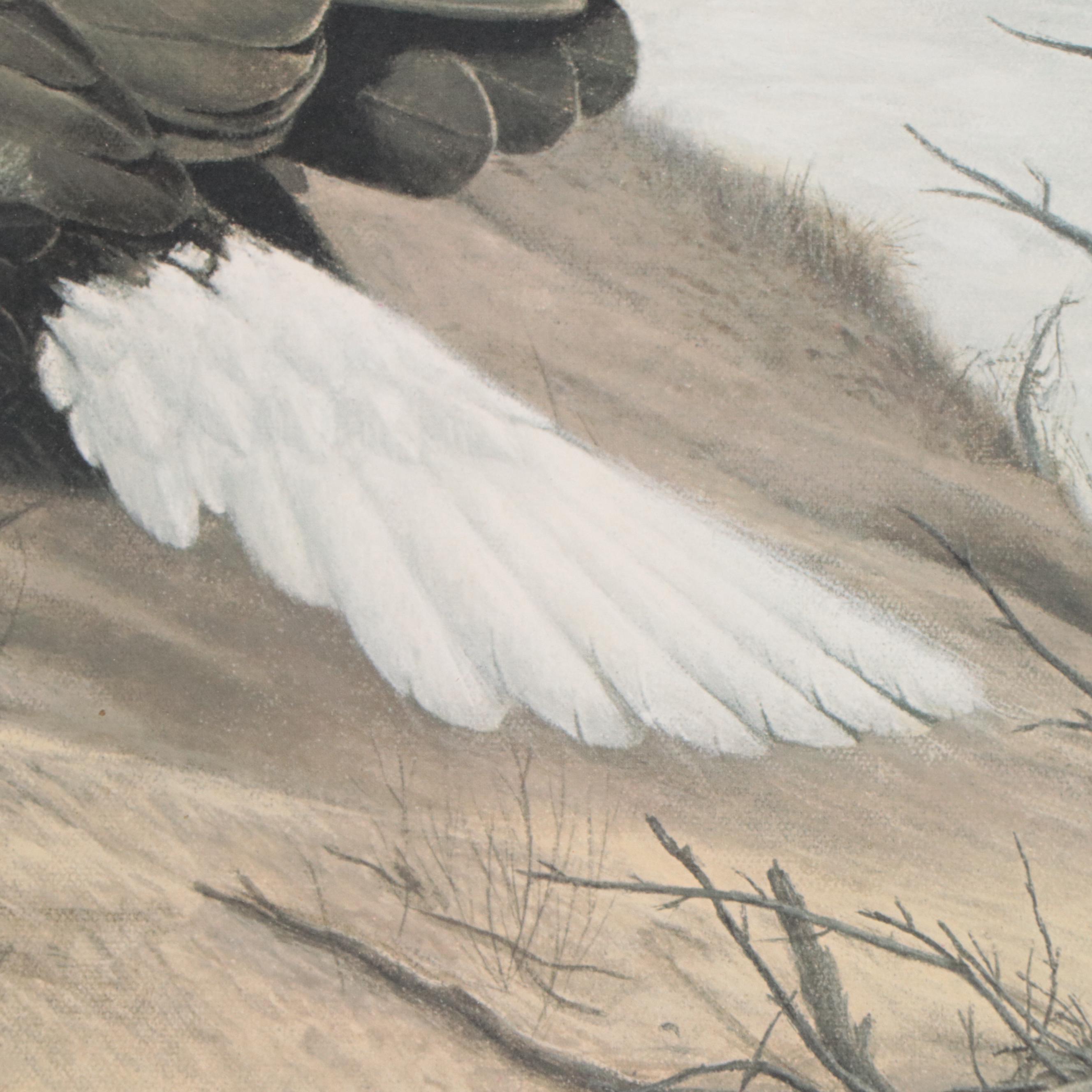 Charles Fracé Offset Lithograph "American Eagle"