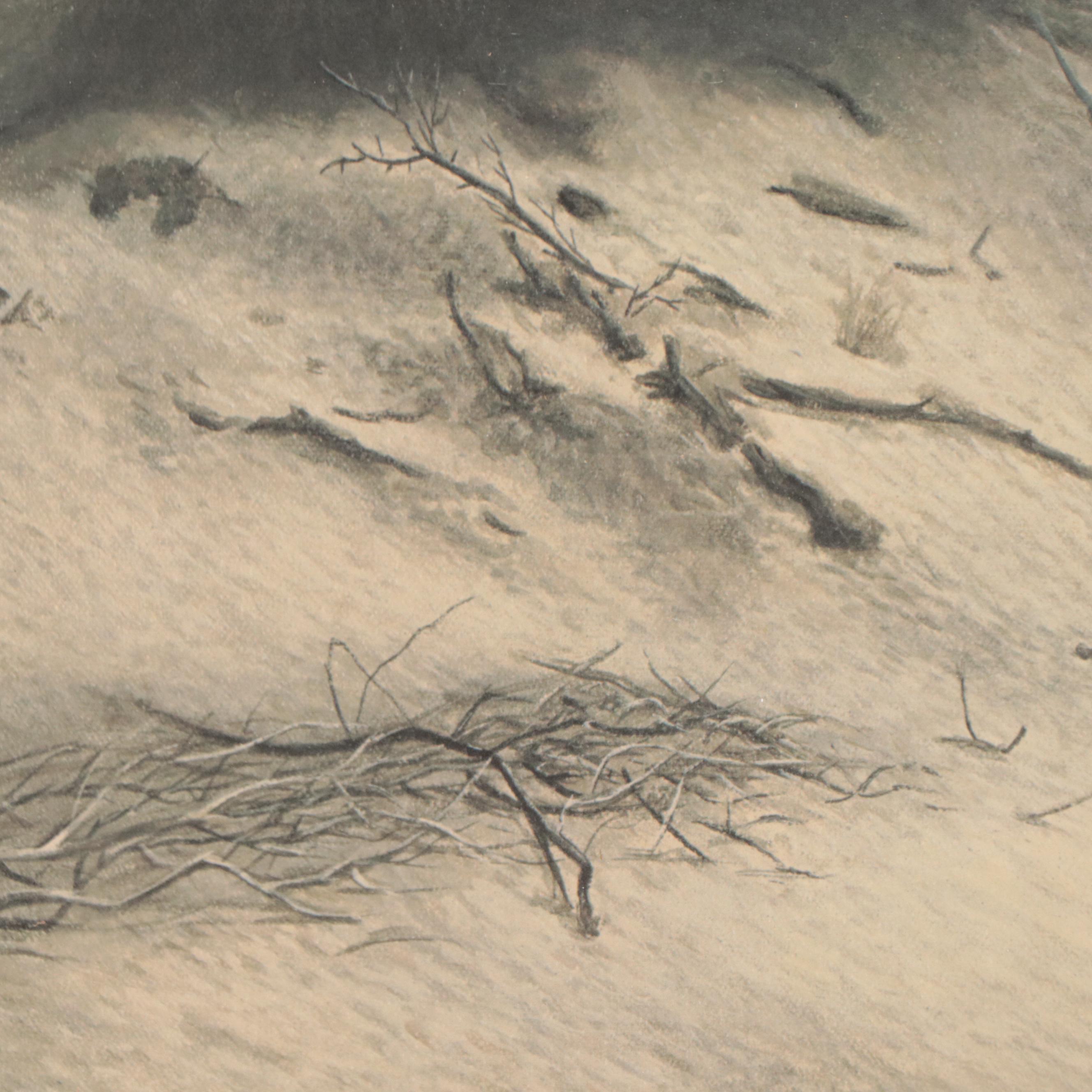 Charles Fracé Offset Lithograph "American Eagle"