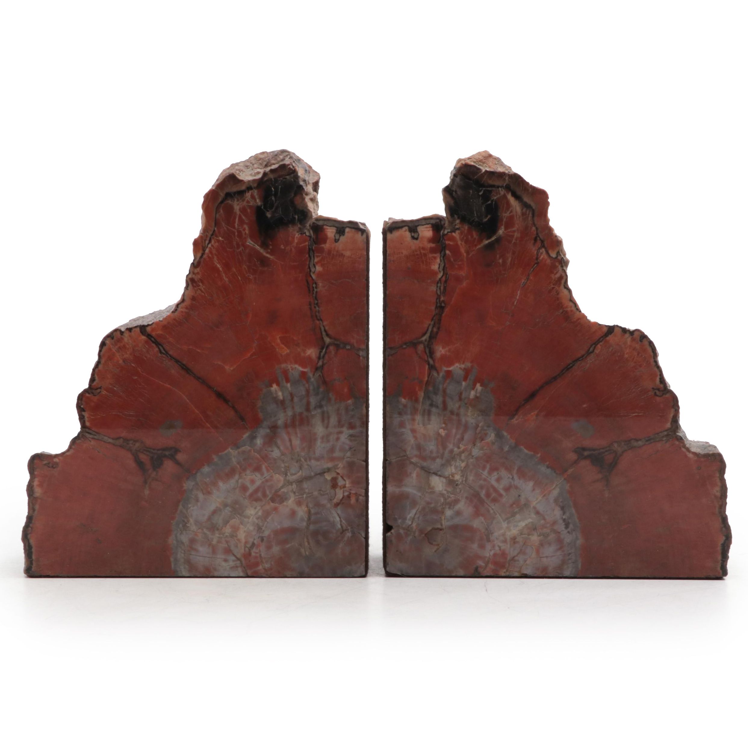 Petrified Wood Slab Bookends