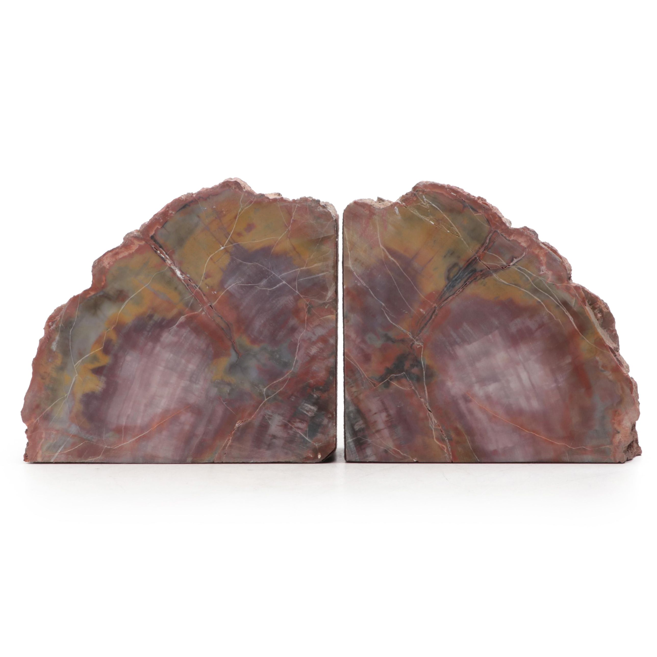 Agatized Petrified Wood Specimen Bookends
