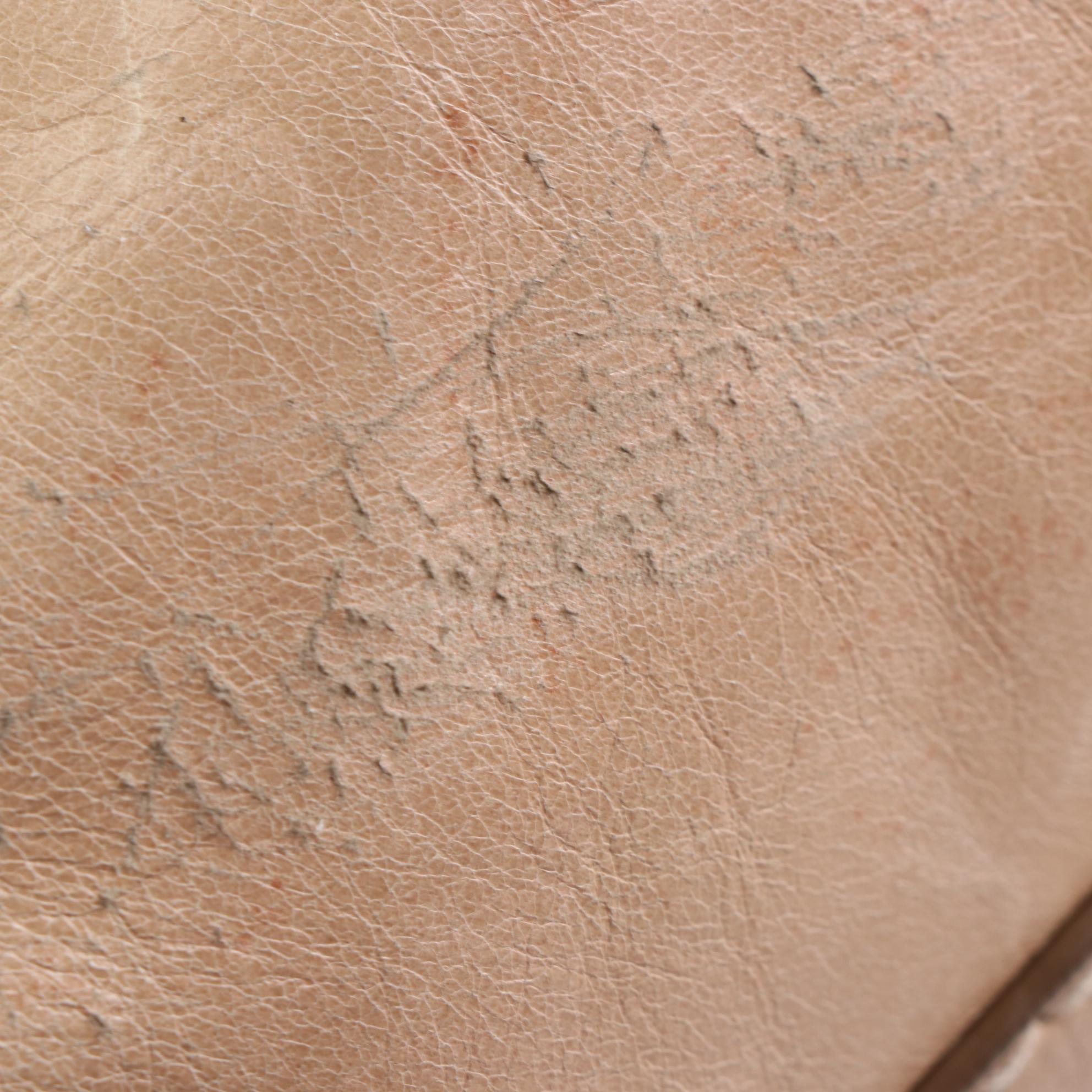 Prada Two-Way Satchel Bag in Cammeo Vitello Shine Leather