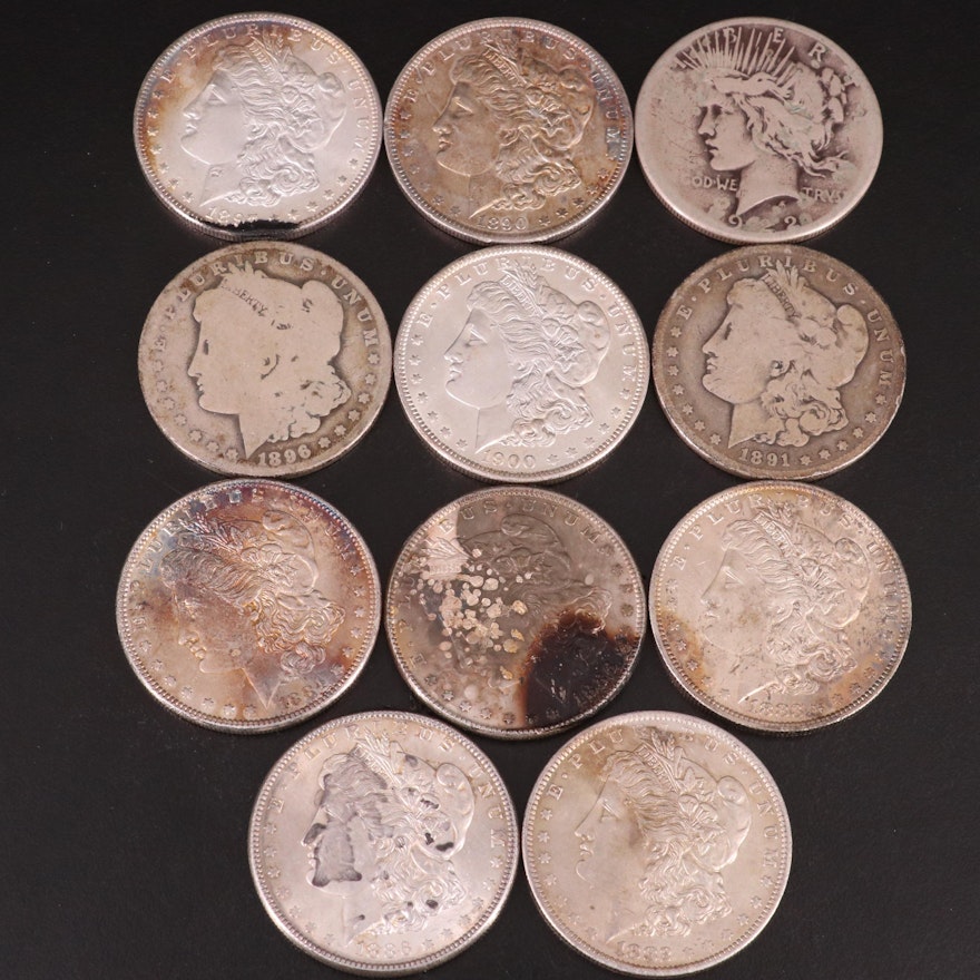 Ten Morgan Silver Dollars and One Peace Silver Dollar