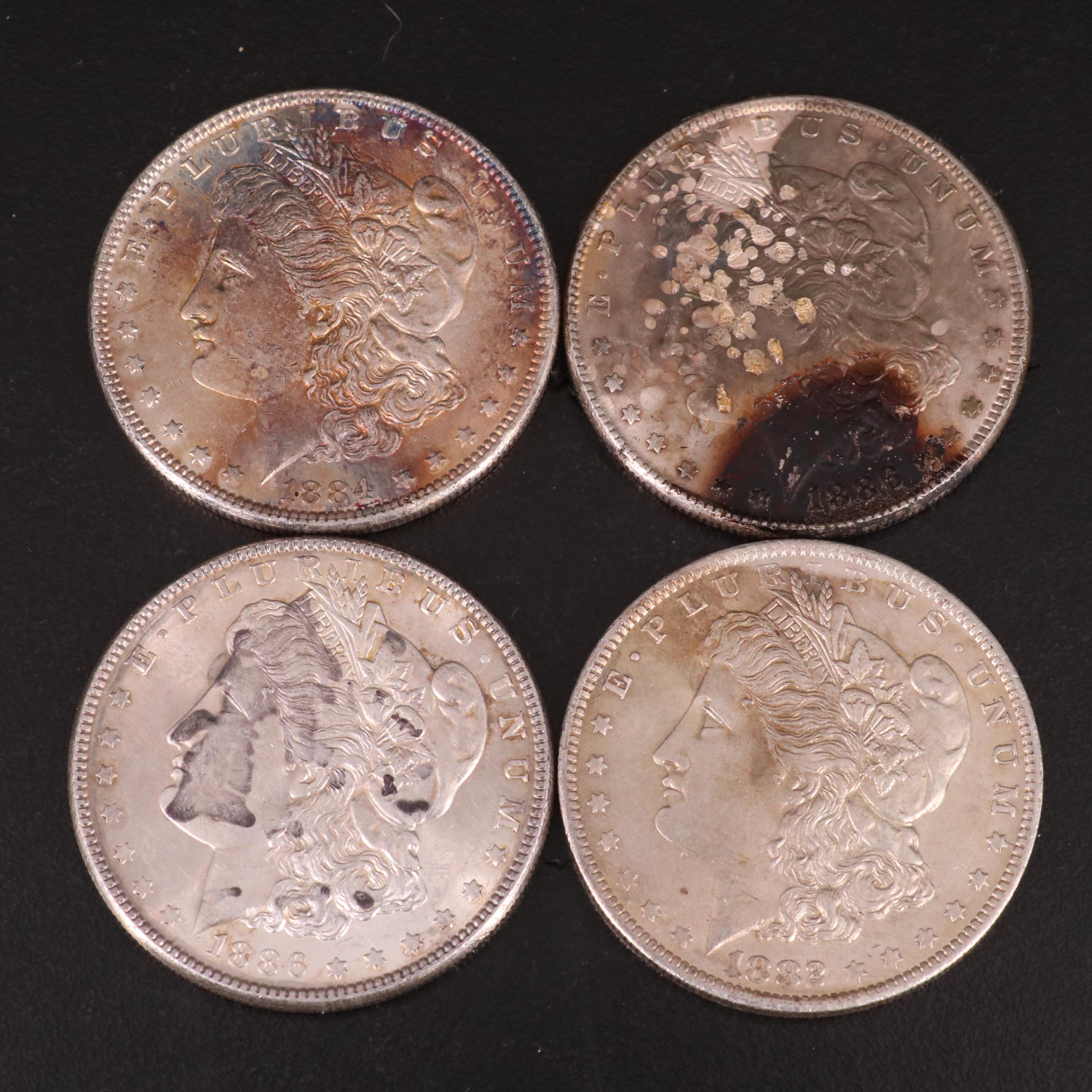 Ten Morgan Silver Dollars and One Peace Silver Dollar