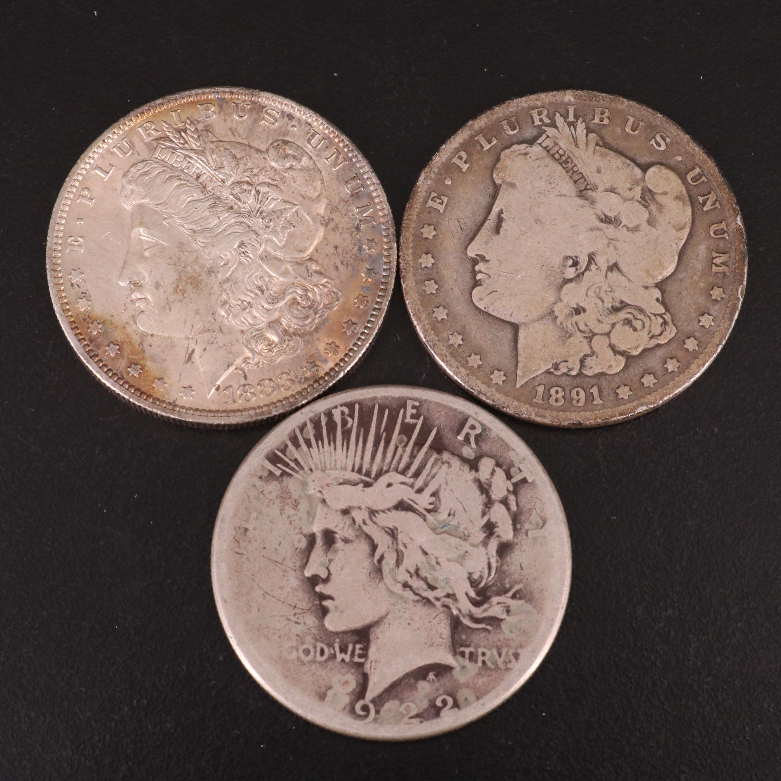 Ten Morgan Silver Dollars and One Peace Silver Dollar