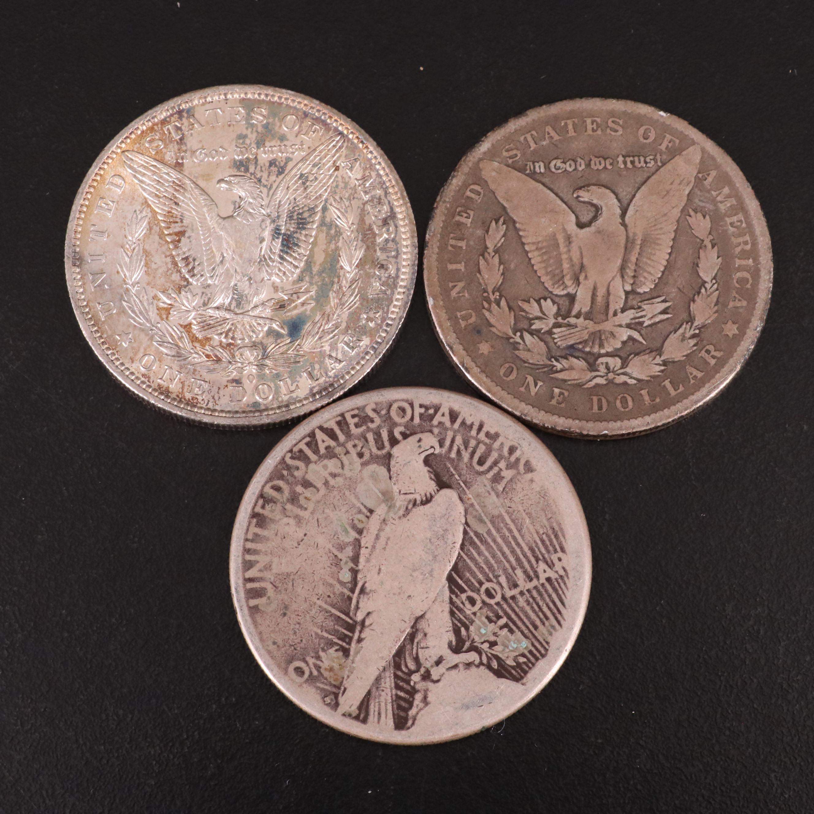 Ten Morgan Silver Dollars and One Peace Silver Dollar