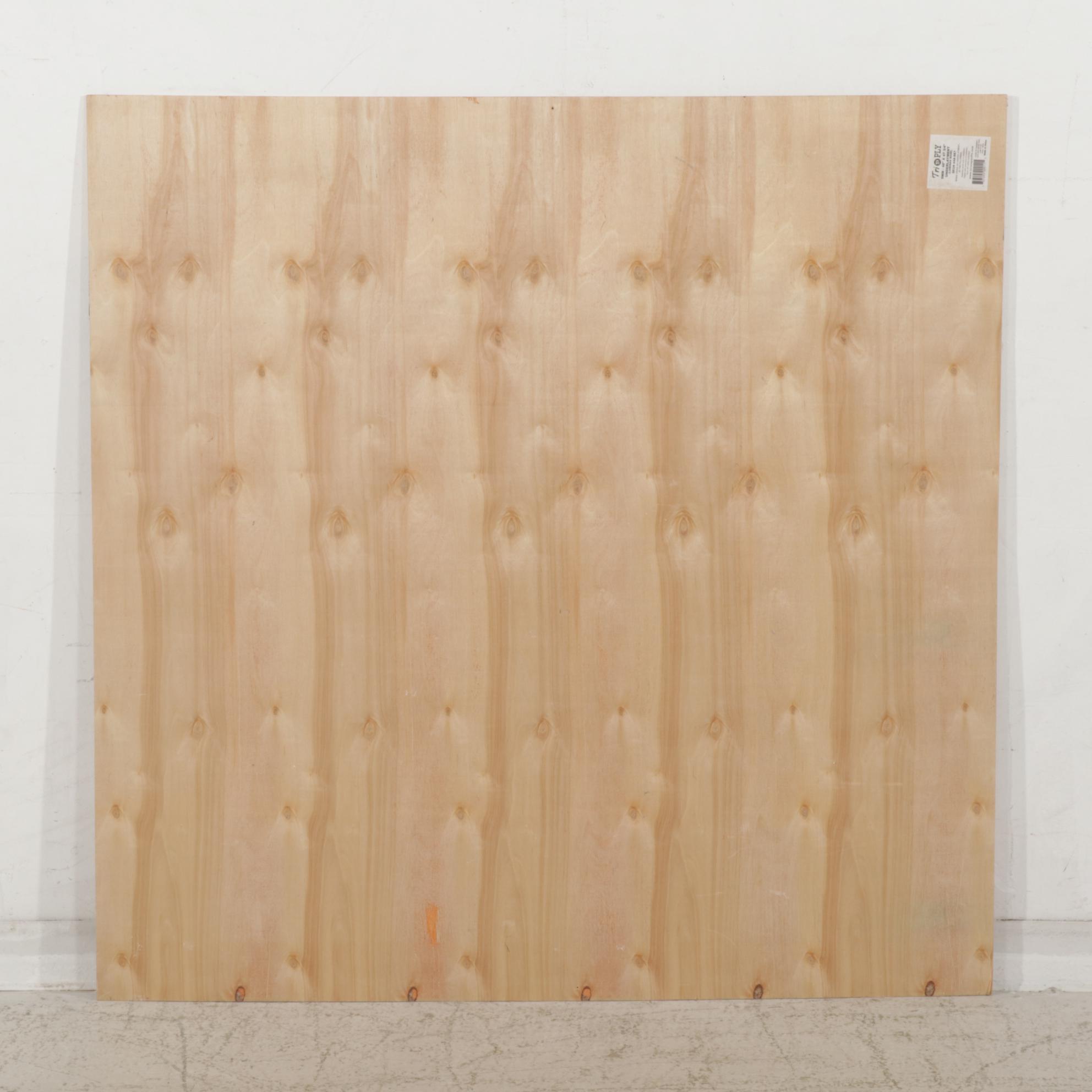 Anthony Eve Kemp Outsider Art Acrylic Painting "Dream," 2016