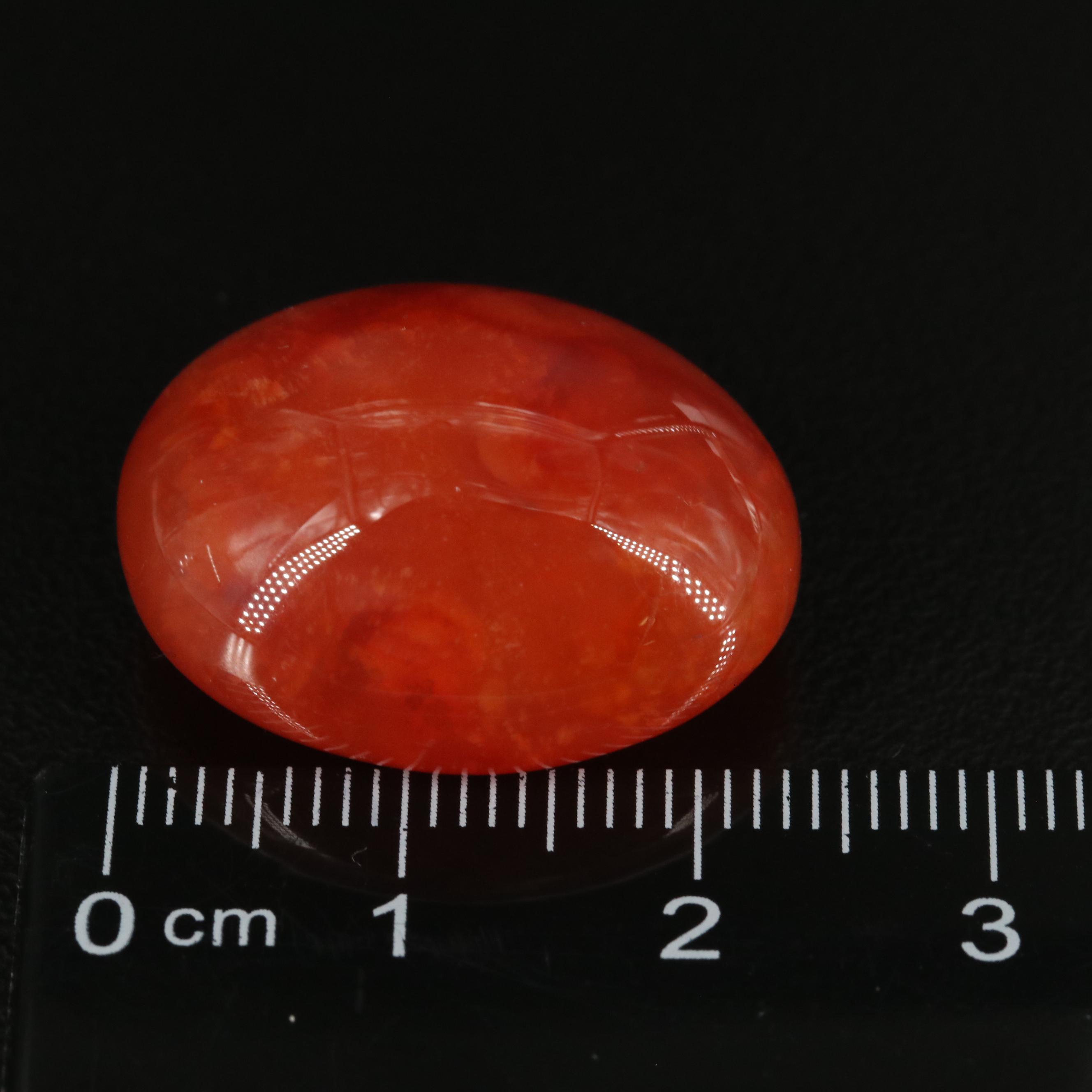 Loose 36.50 CT Carnelian
