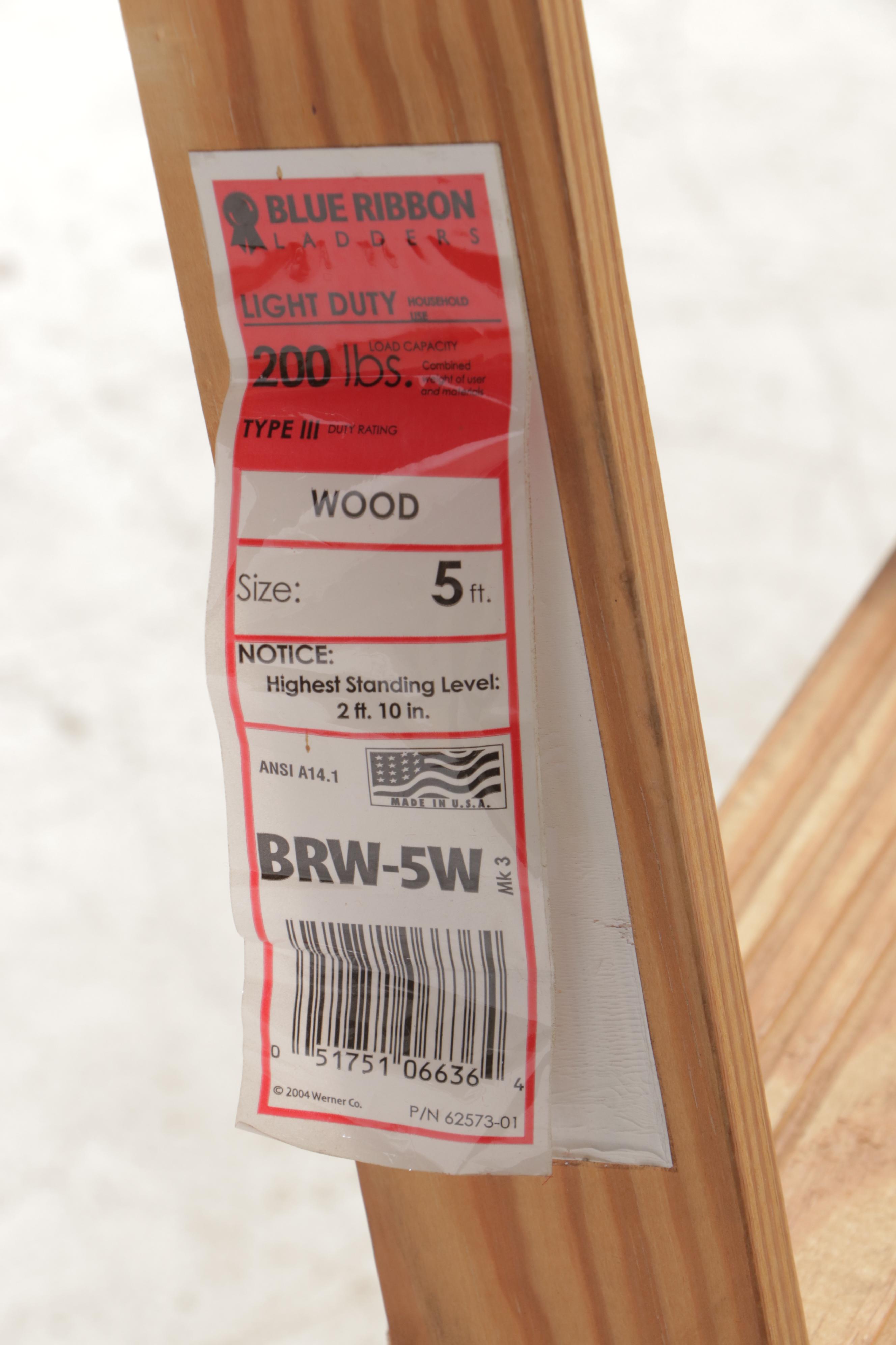 Werner 16' Aluminum Extension Ladder With Other Step Ladders