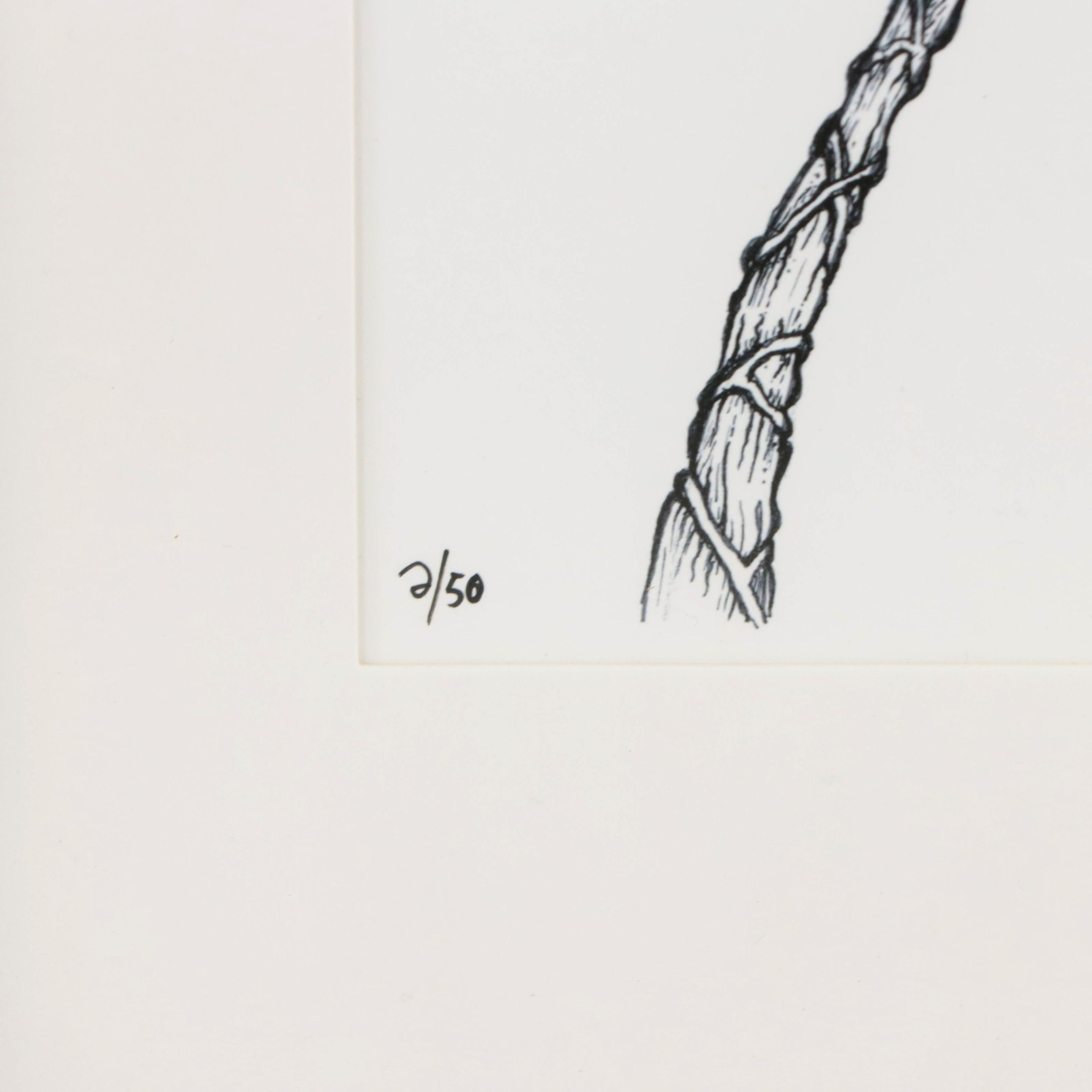 Chris Huber Giclée "Angry Lily," 2023