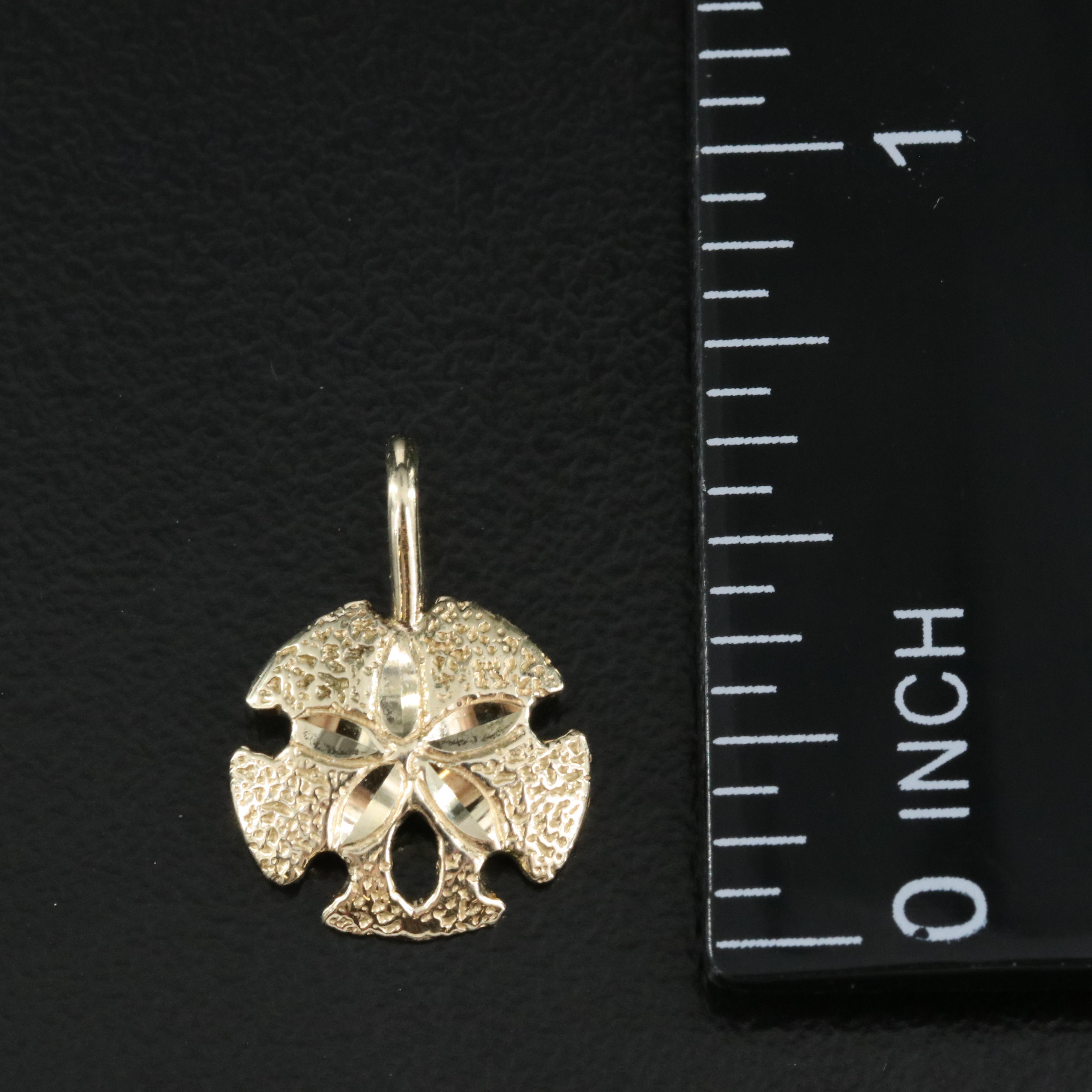 14K Sand Dollar Pendant