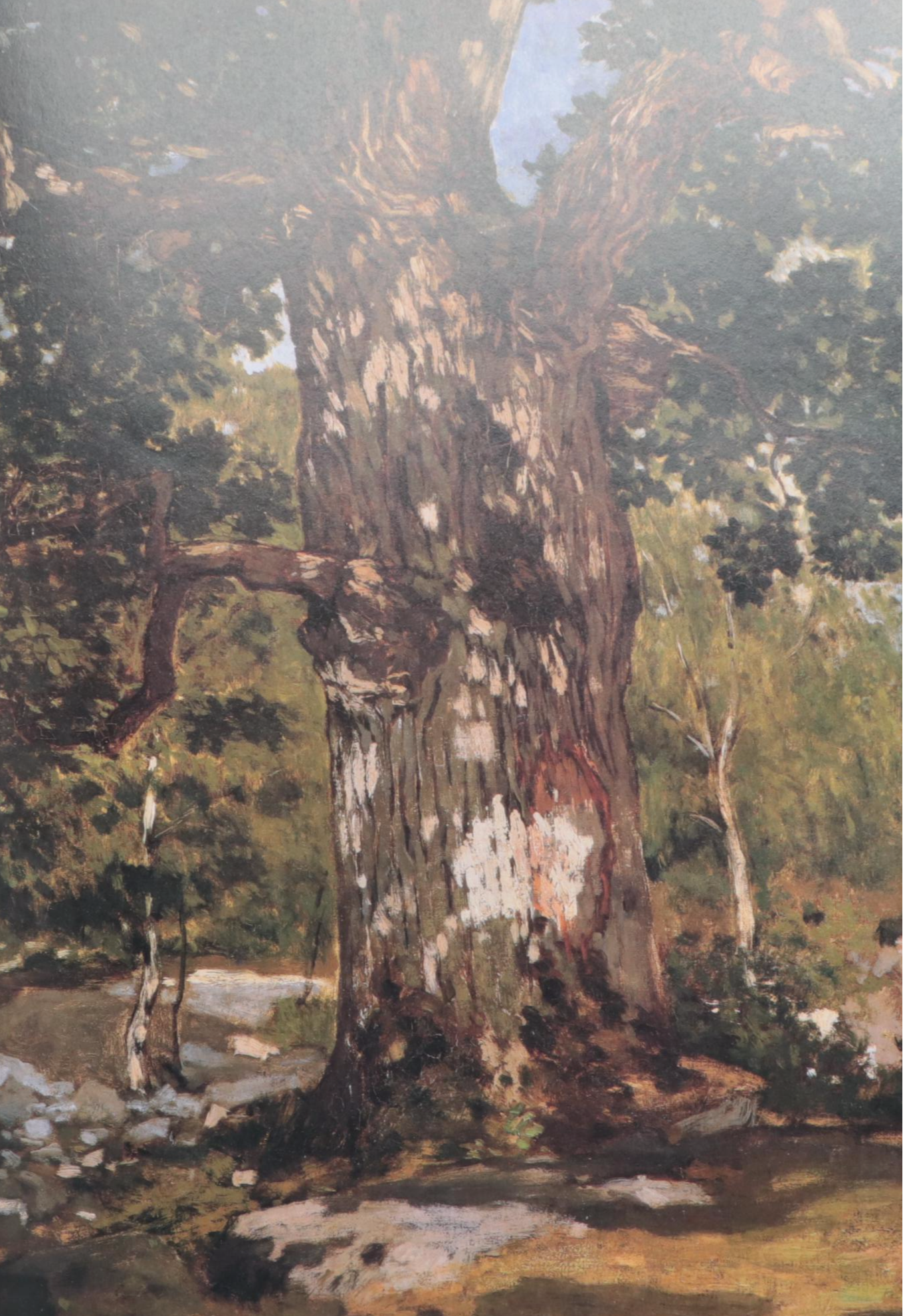 First Edition "Genius" by Harold Bloom and More Nonfiction Books