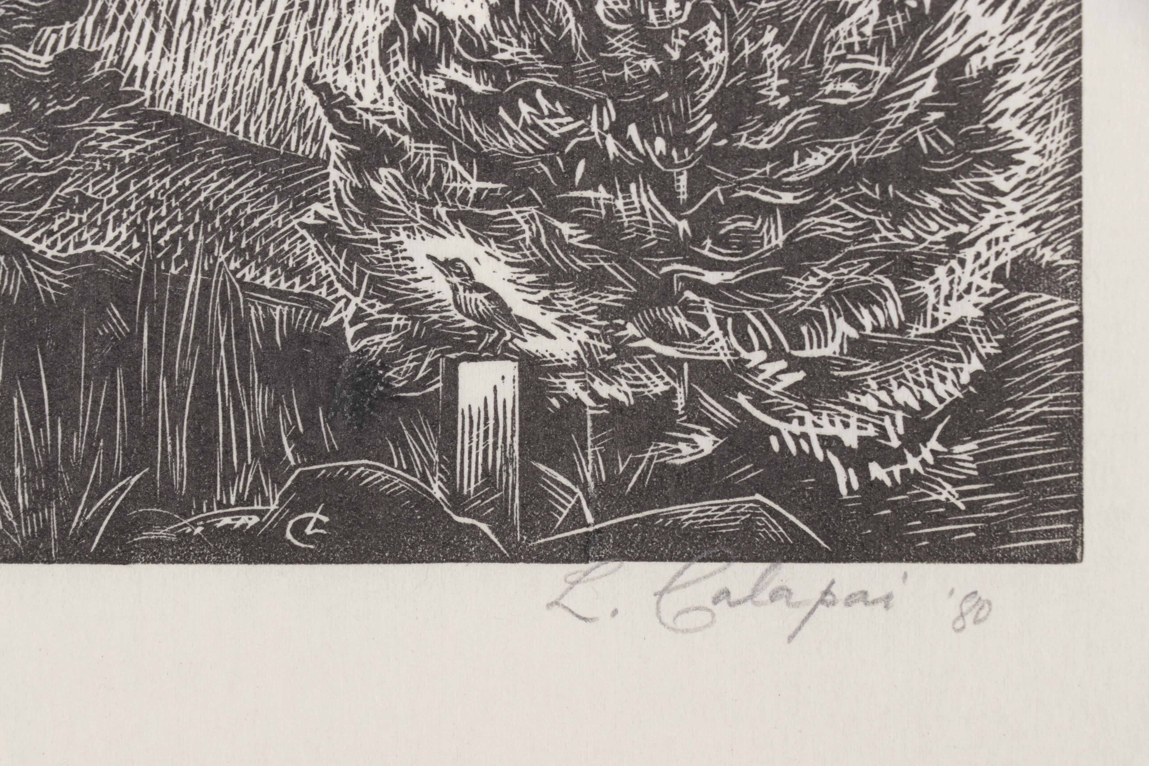 Letterio Calapai Wood Engraving "Adirondacks Afternoon," 1980