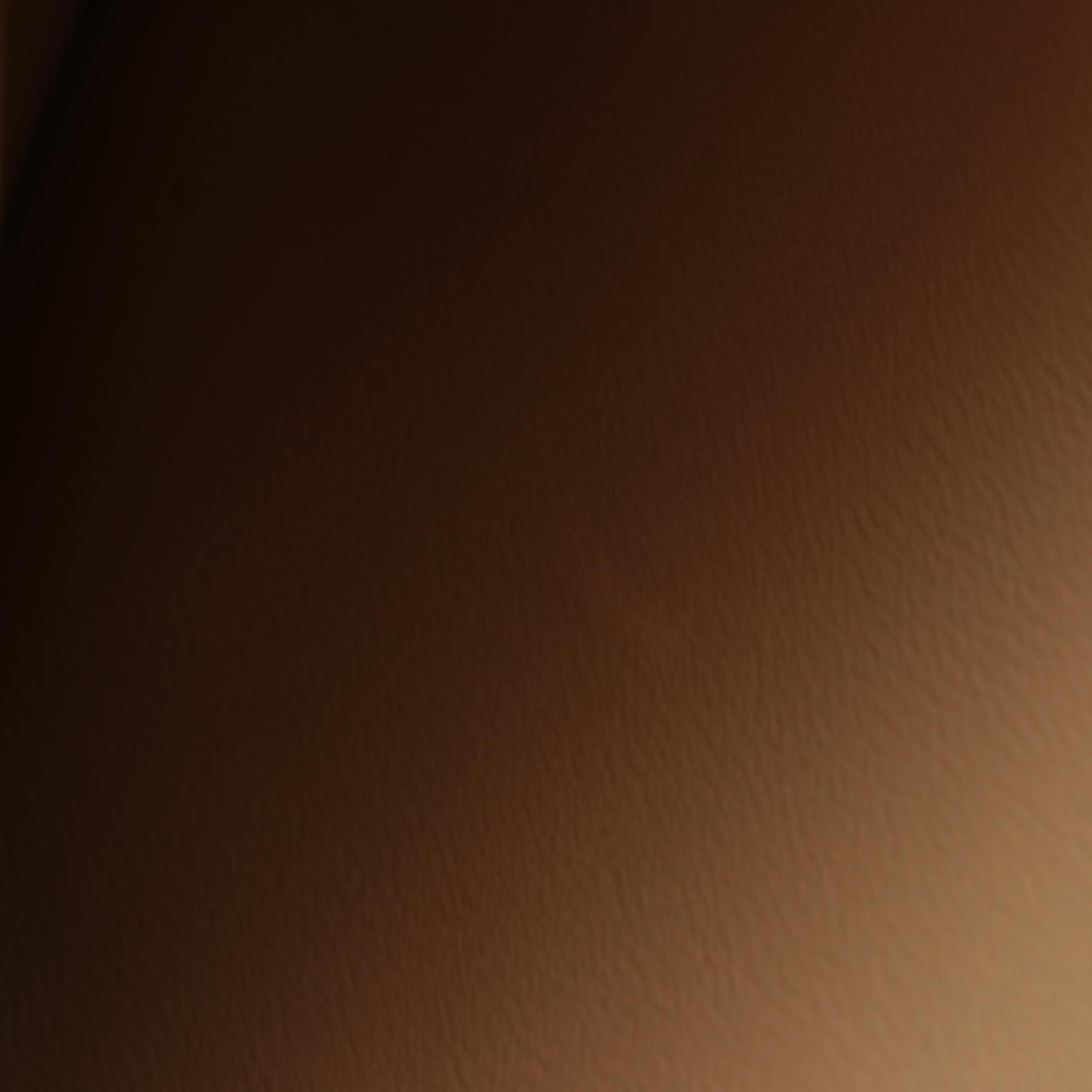 Celine C Bag in Quilted Calfskin Leather