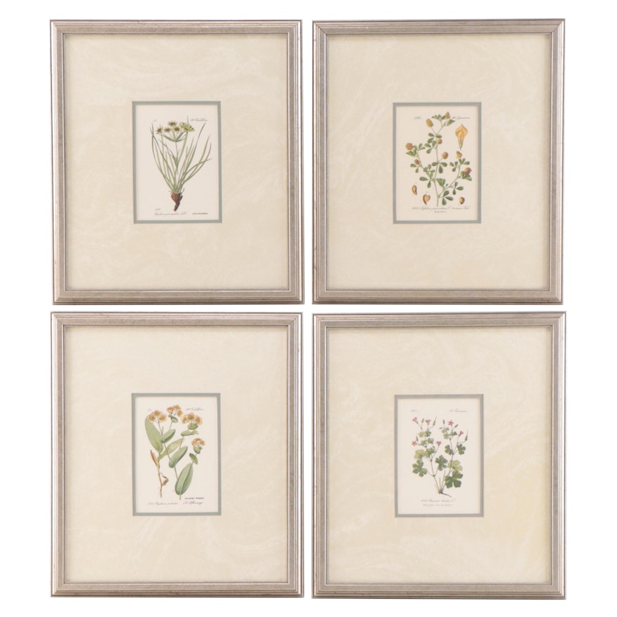 Offset Lithographs After Botanical Plates