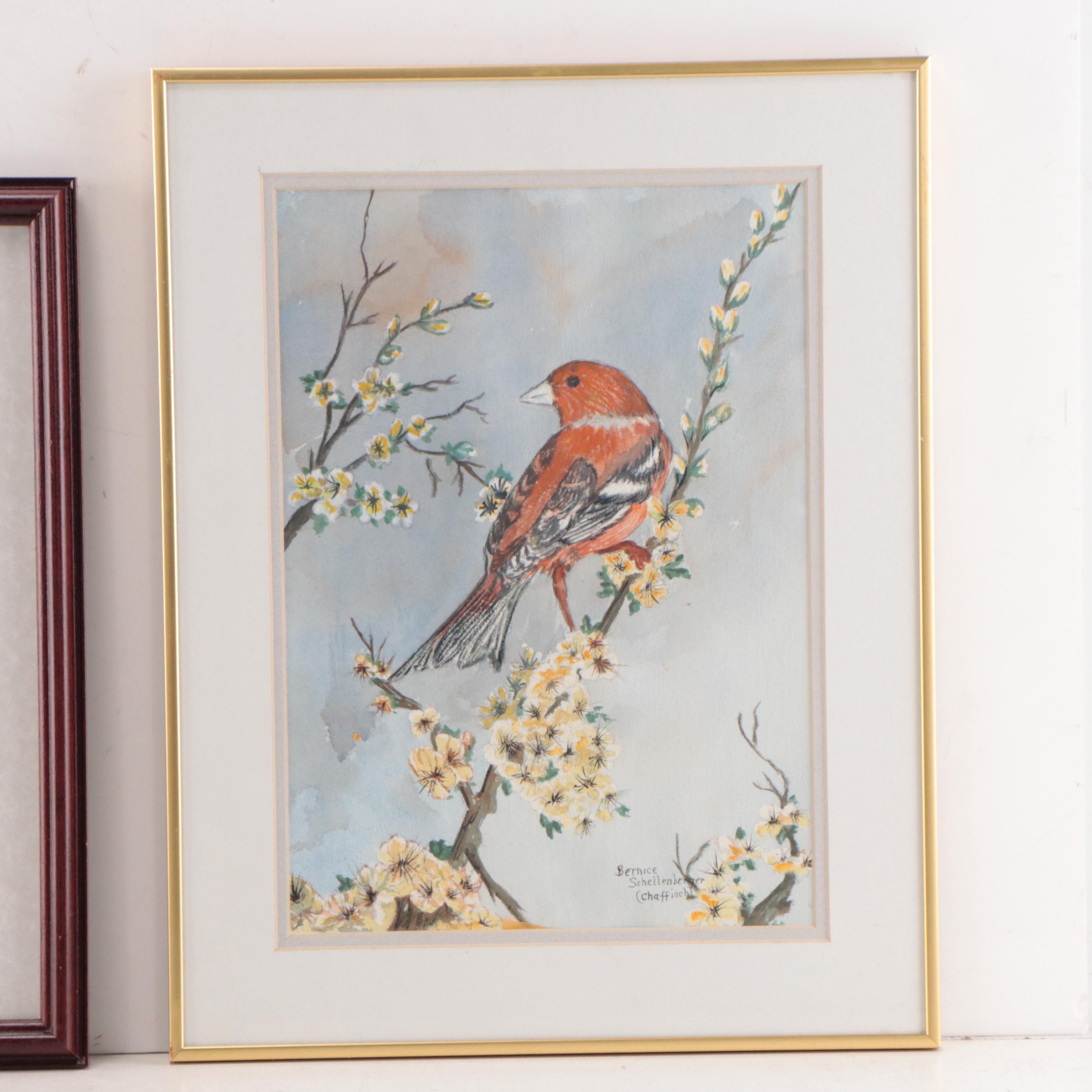 Bernice Schellenberger Watercolor Painting of Bird "Chaffinch" and More
