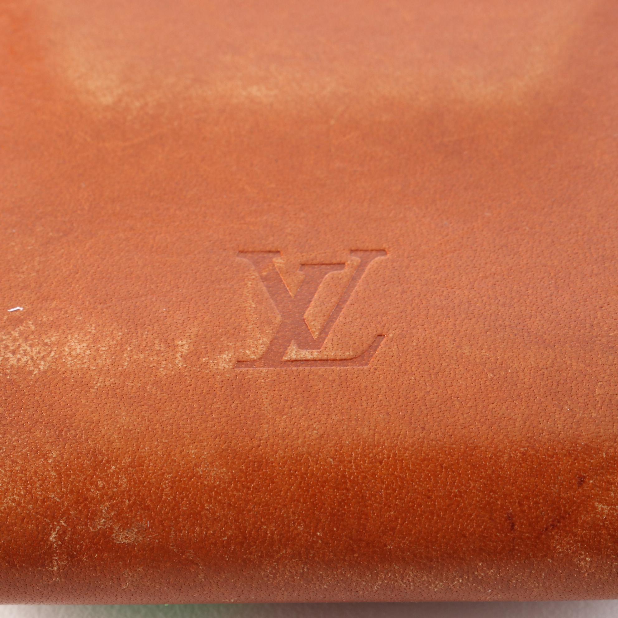Louis Vuitton iPod Case in Nomade Leather