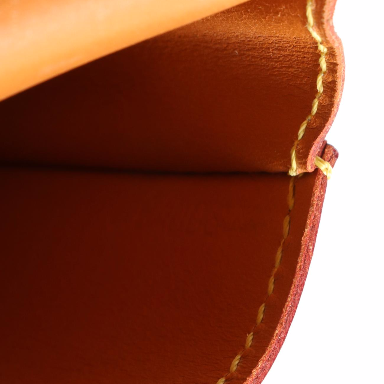 Louis Vuitton iPod Case in Nomade Leather