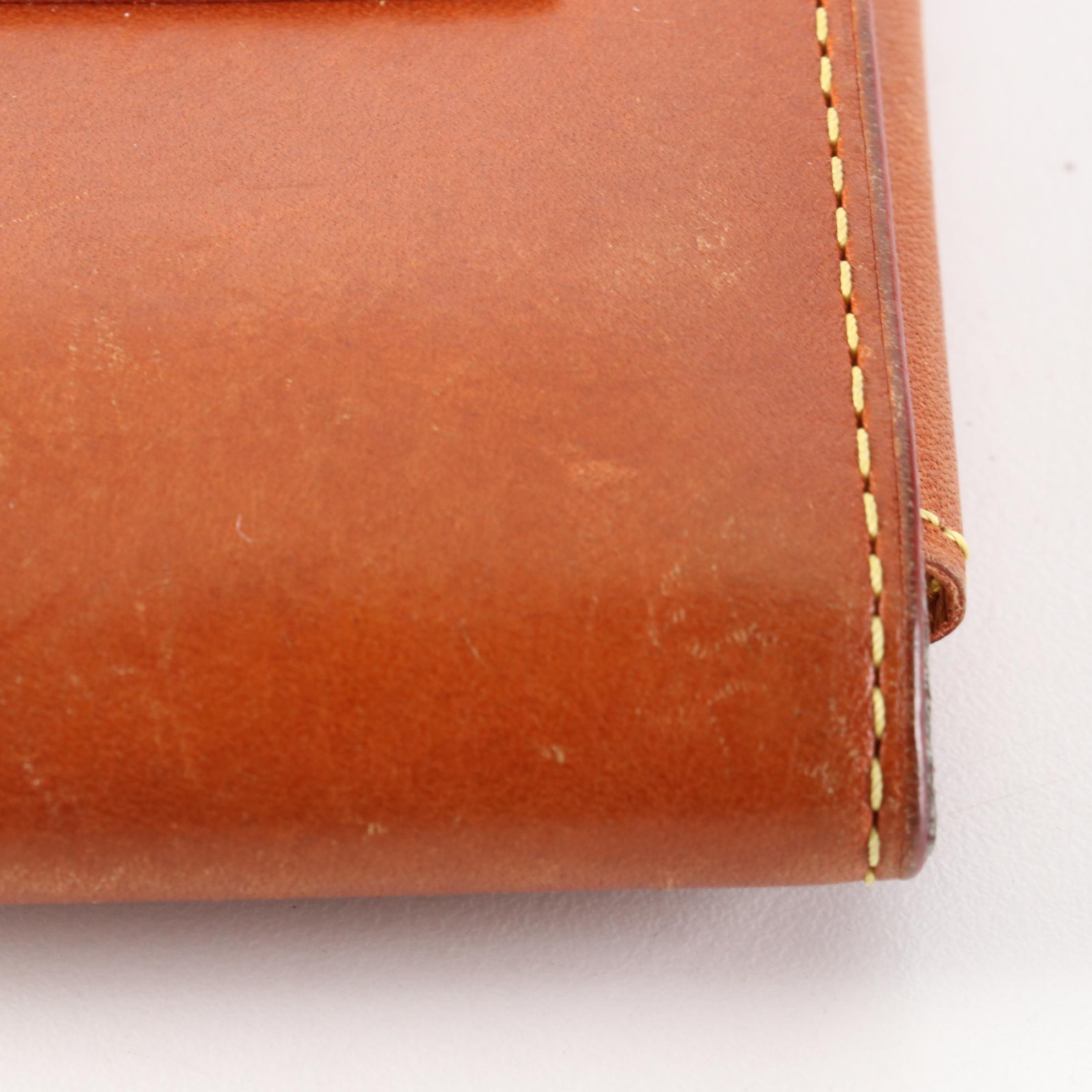 Louis Vuitton iPod Case in Nomade Leather