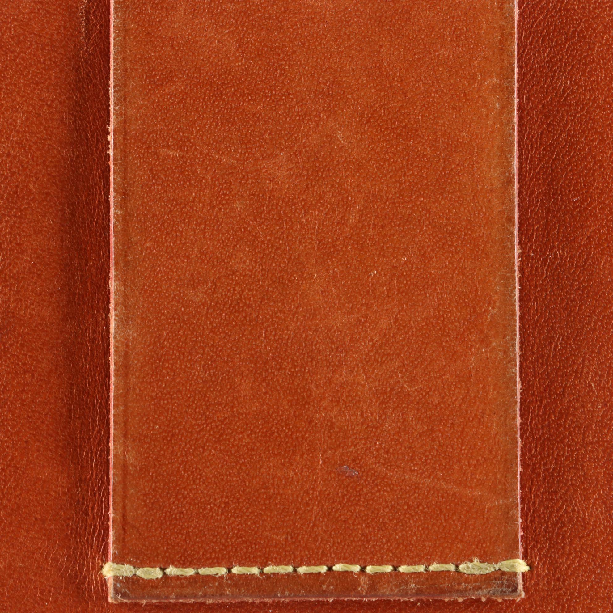 Louis Vuitton iPod Case in Nomade Leather