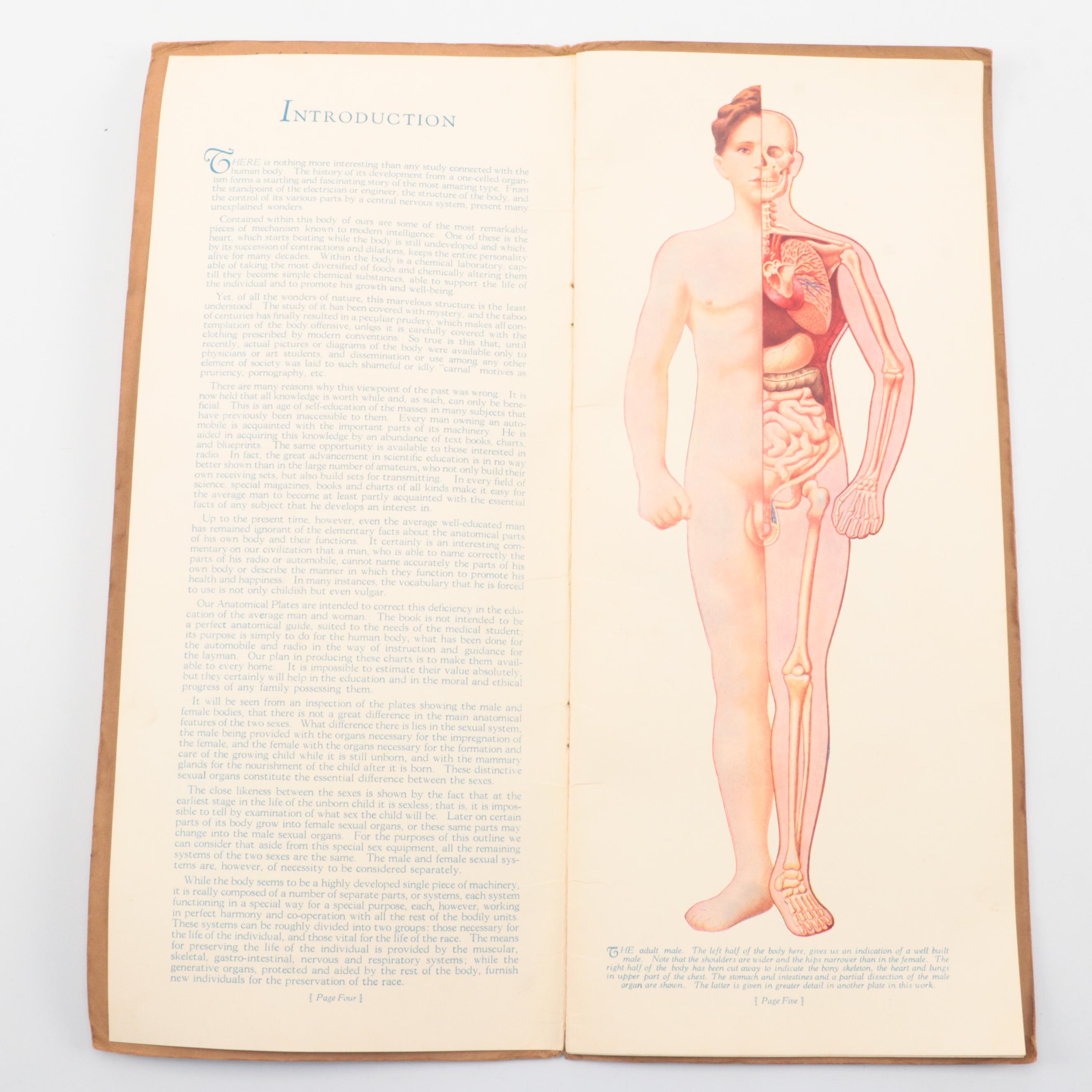 "Portfolio of Anatomical Manikins" by Dr. David H. Keller, 1929