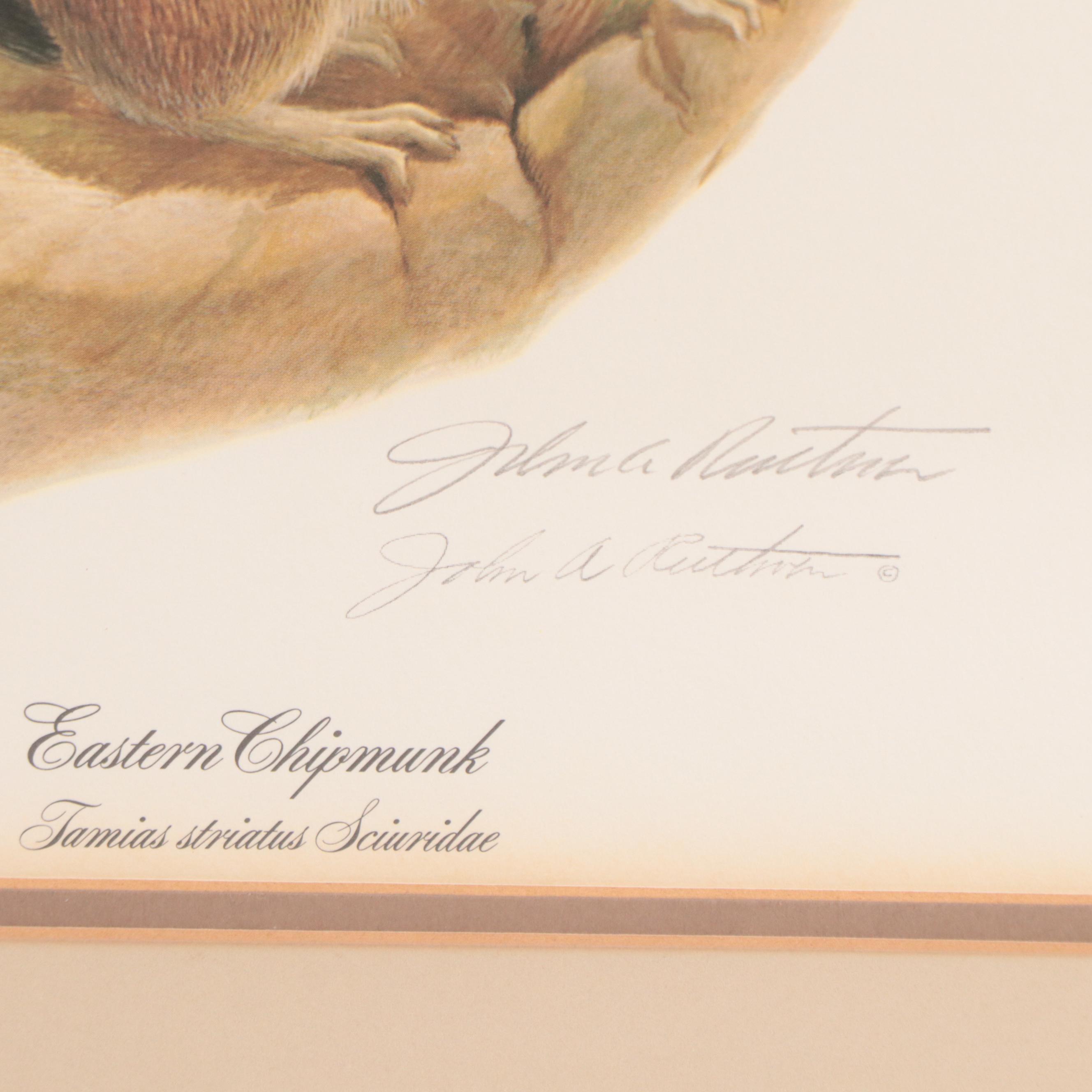 John Ruthven Offset Lithograph "Eastern Chipmunk"
