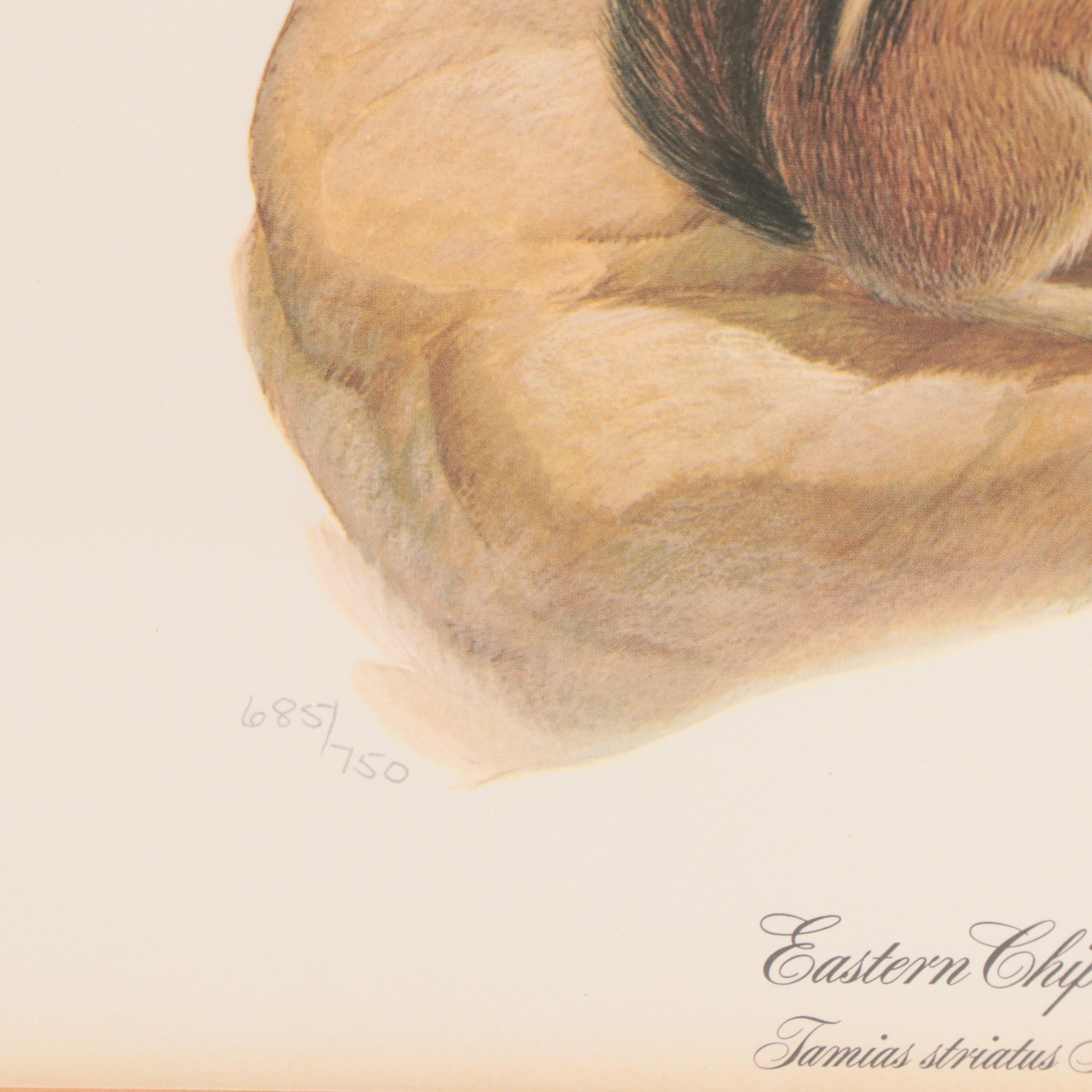 John Ruthven Offset Lithograph "Eastern Chipmunk"