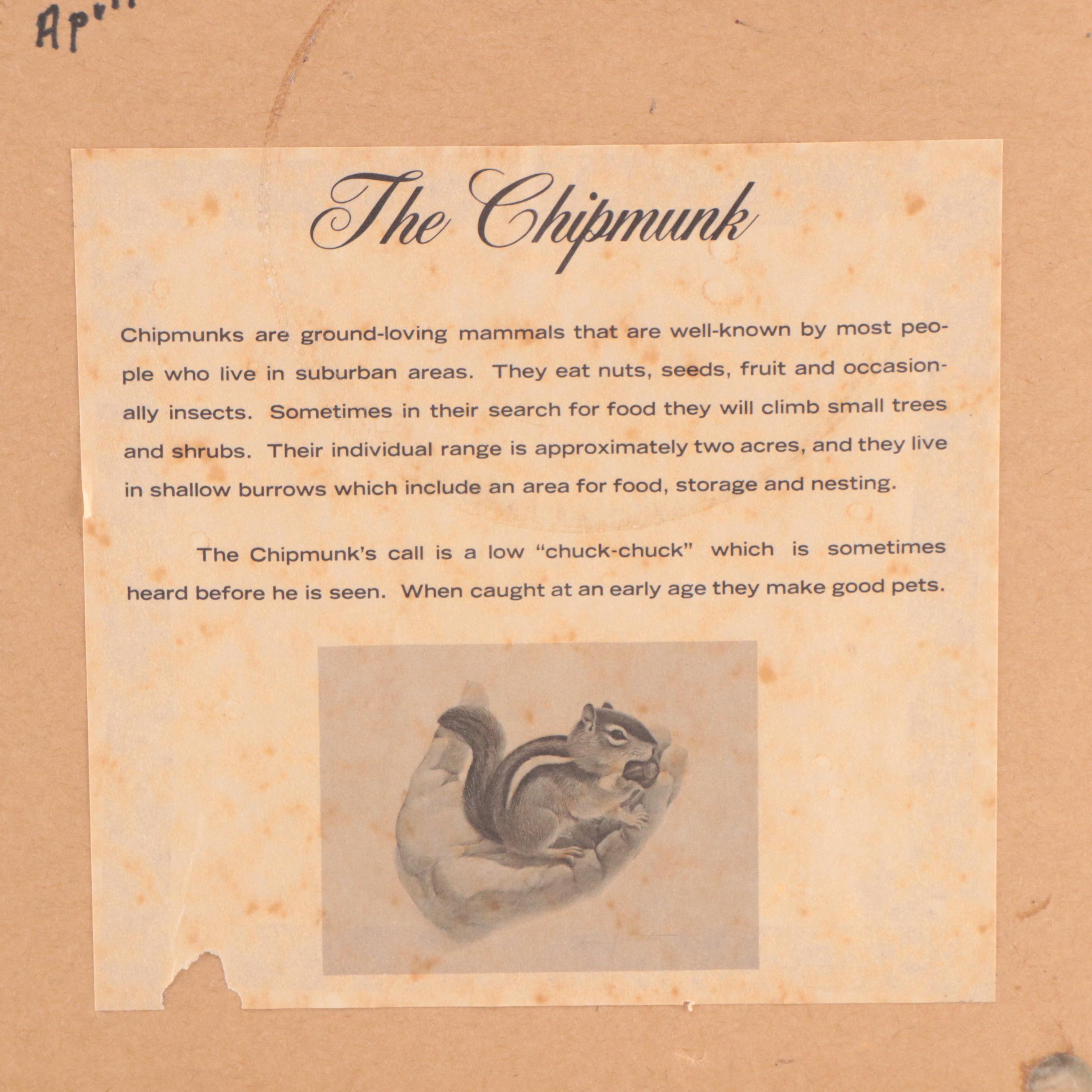 John Ruthven Offset Lithograph "Eastern Chipmunk"