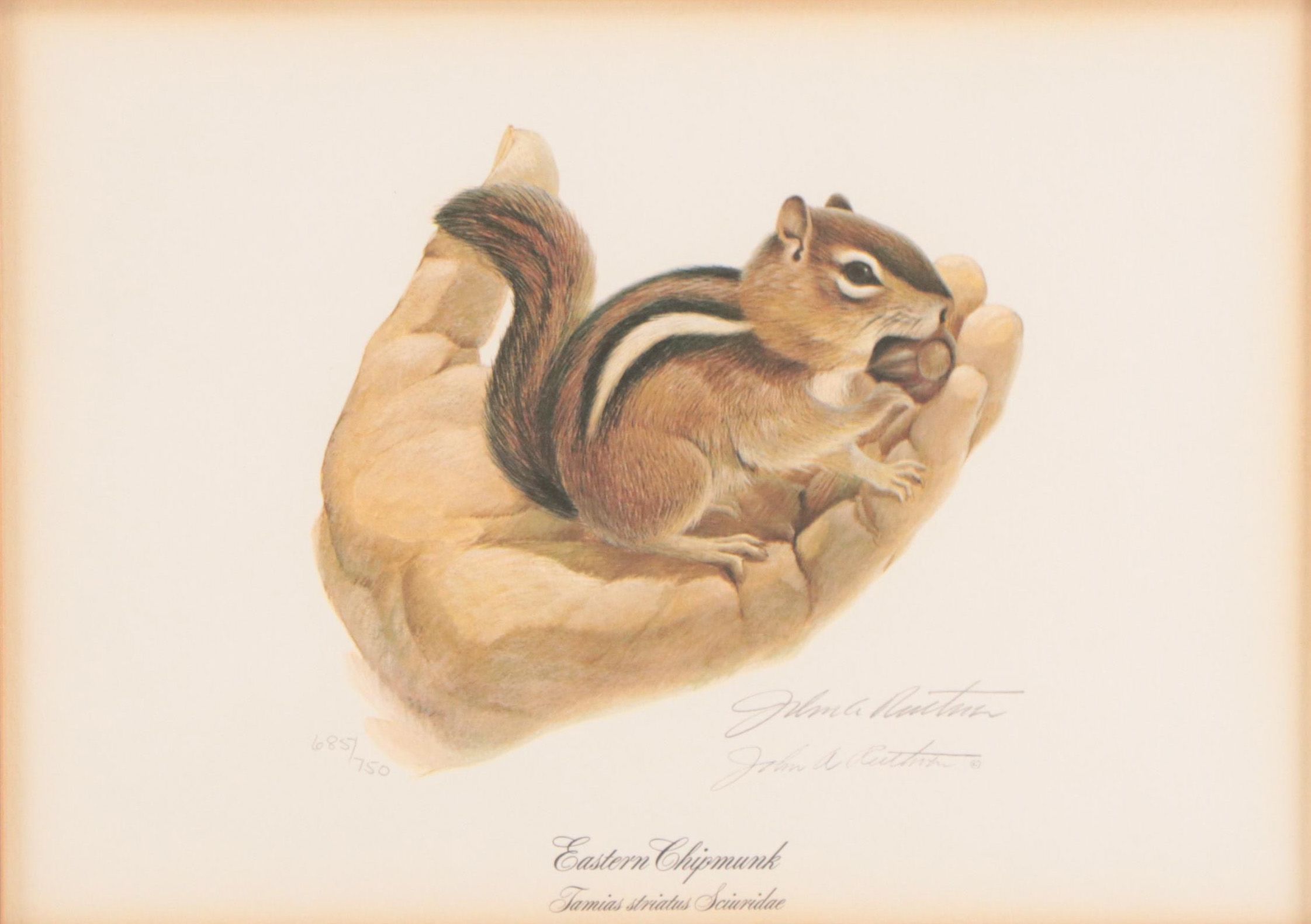 John Ruthven Offset Lithograph "Eastern Chipmunk"