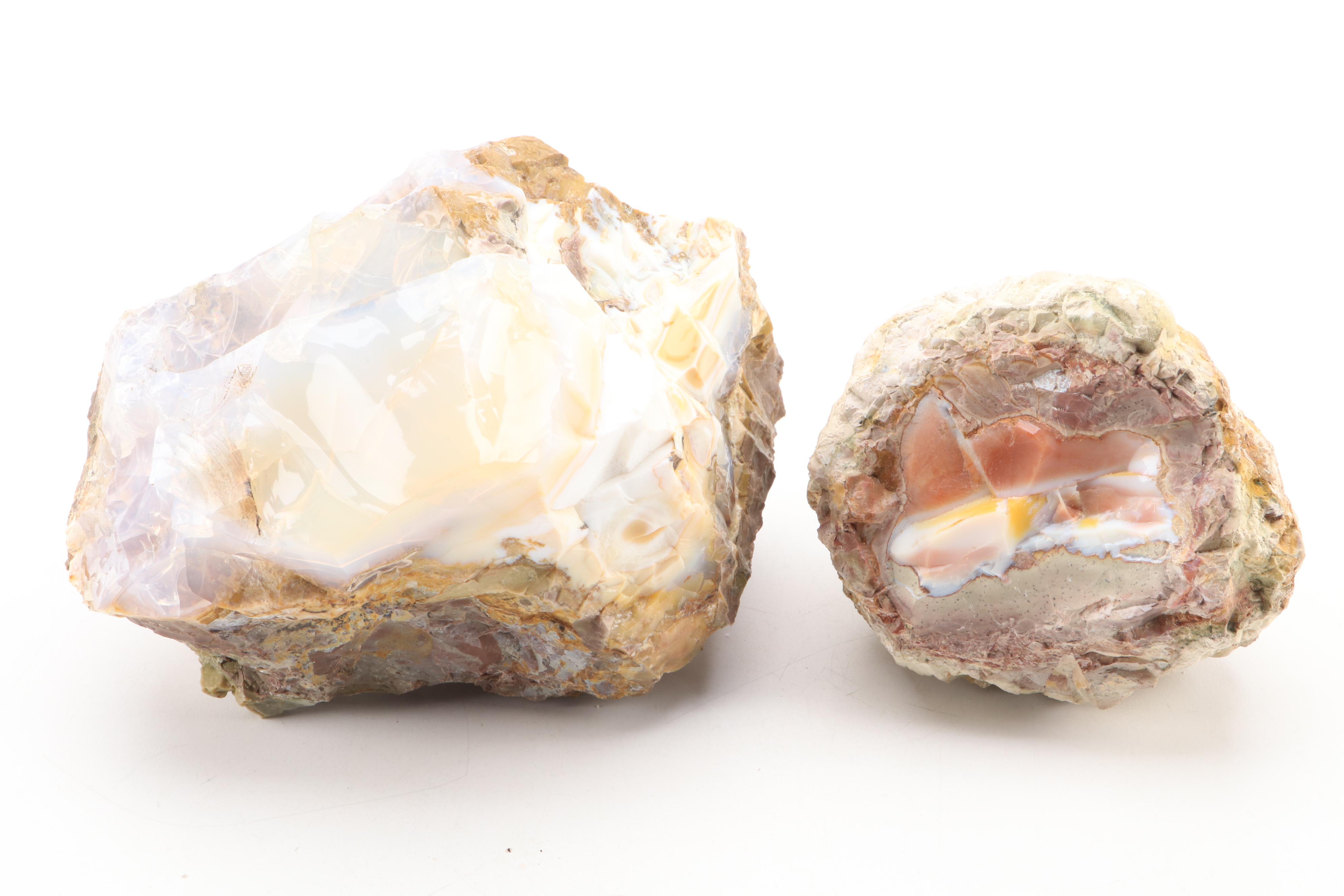 Opalized Agate  Specimens